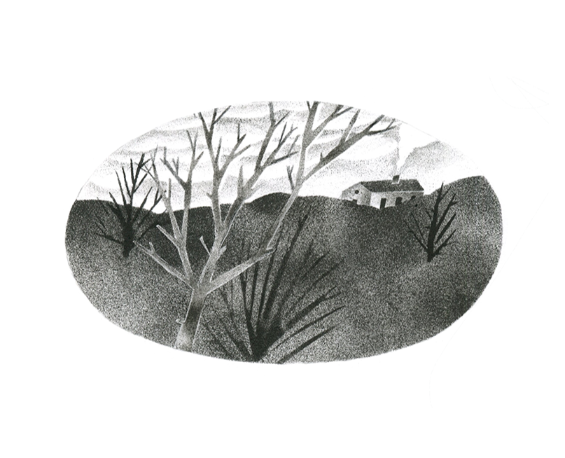 Птицы. Книжные иллюстрации. на Dprofile