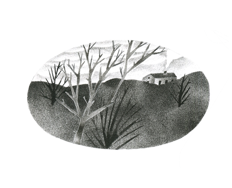 Птицы. Книжные иллюстрации. на Dprofile