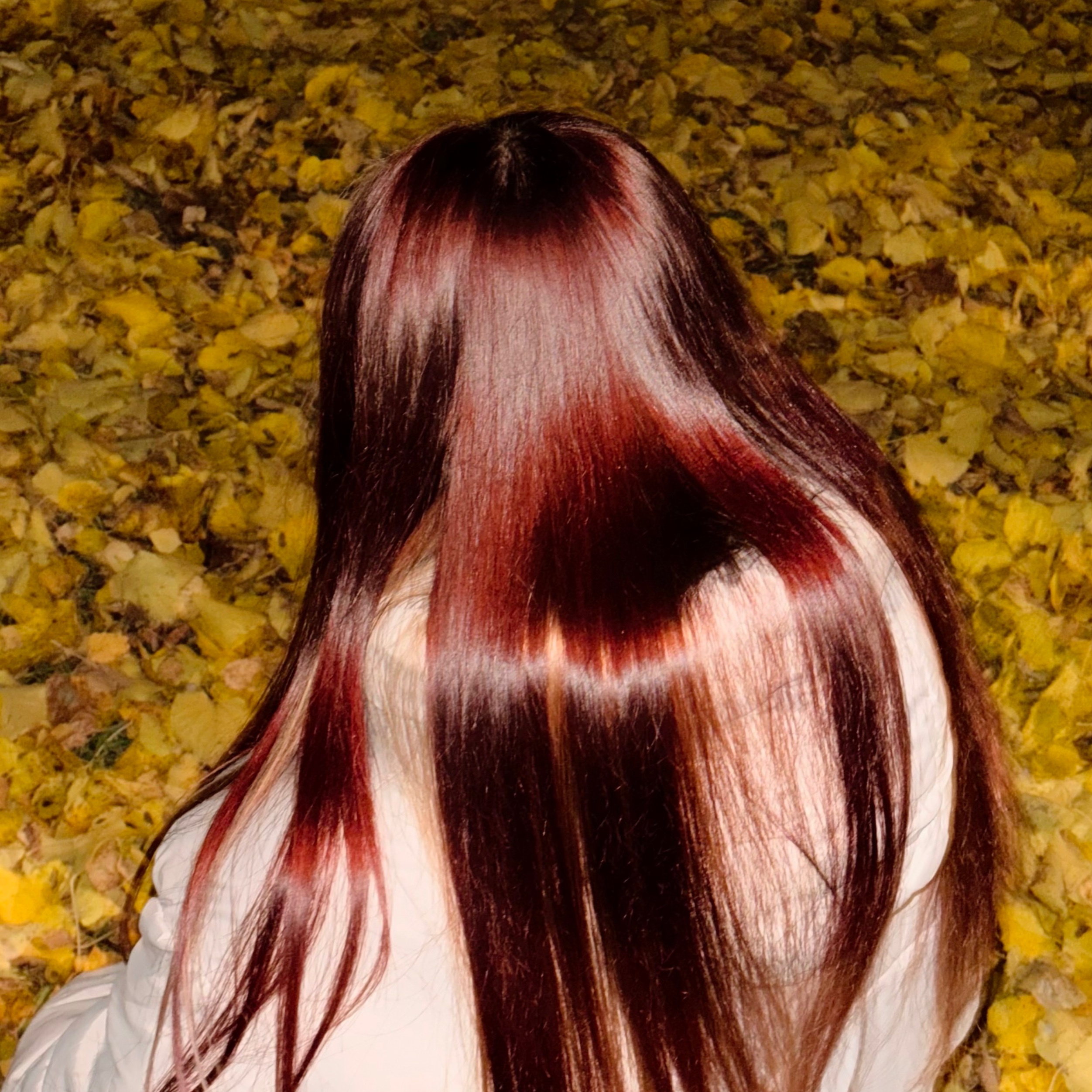 Аватар пользователя Ольга Петрунина