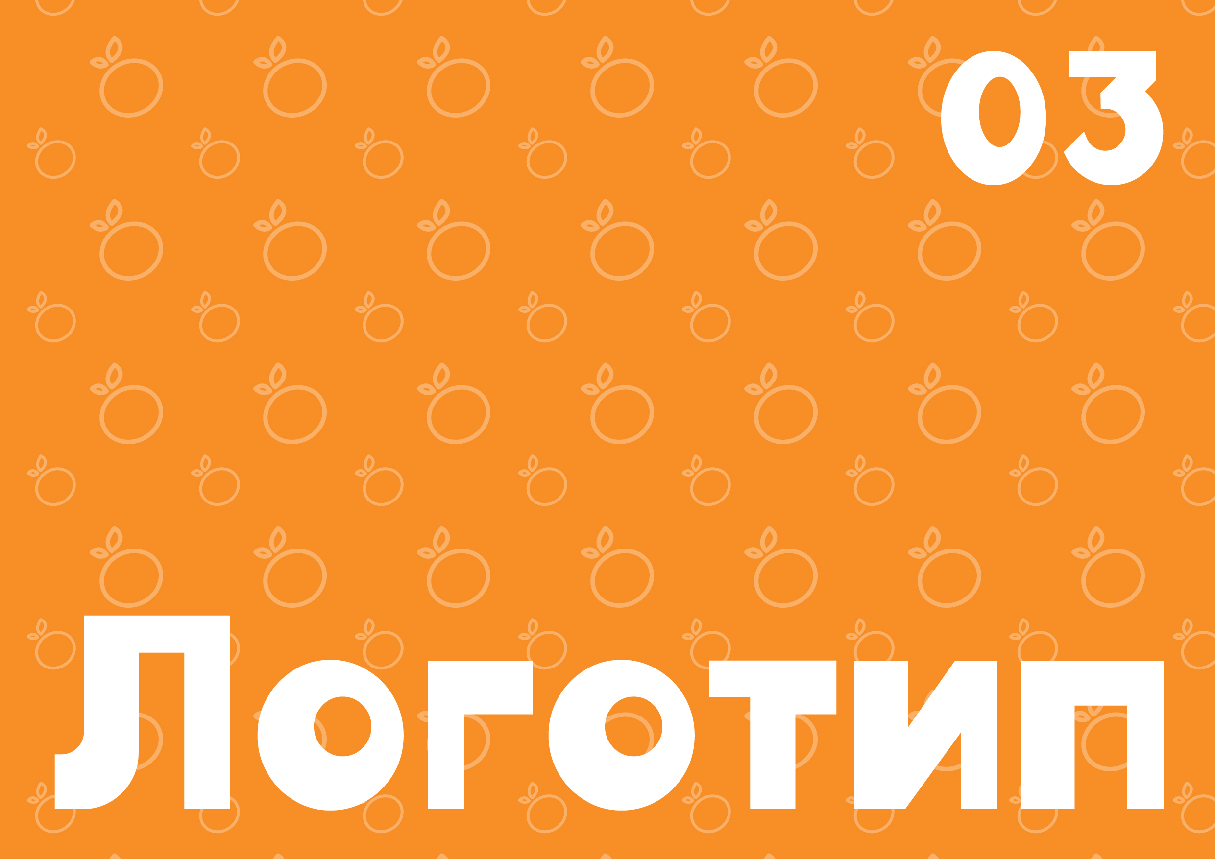 Разработка фирменного стиля детское кафе «Мандарин» — Изображение №36 — Брендинг, Графика на Dprofile