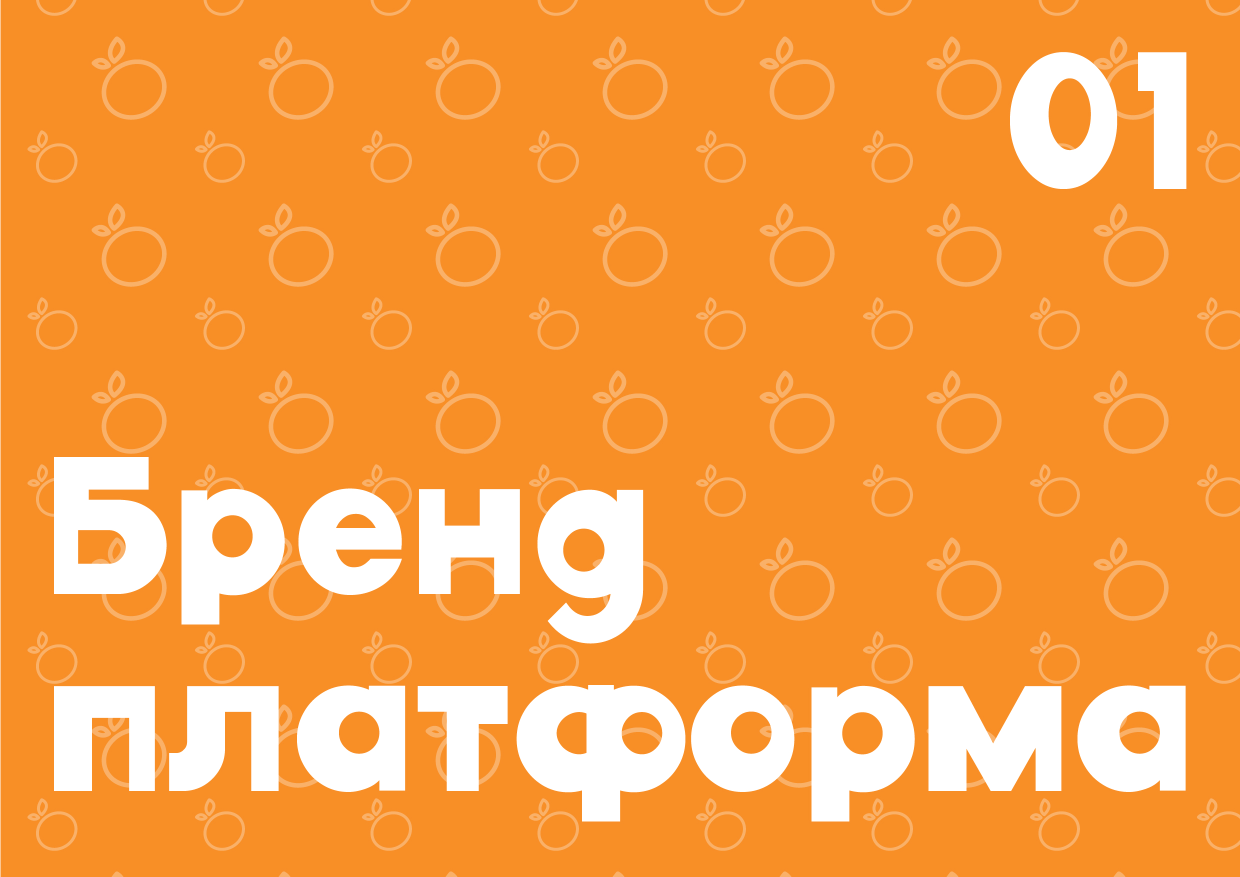 Разработка фирменного стиля детское кафе «Мандарин» — Изображение №32 — Брендинг, Графика на Dprofile