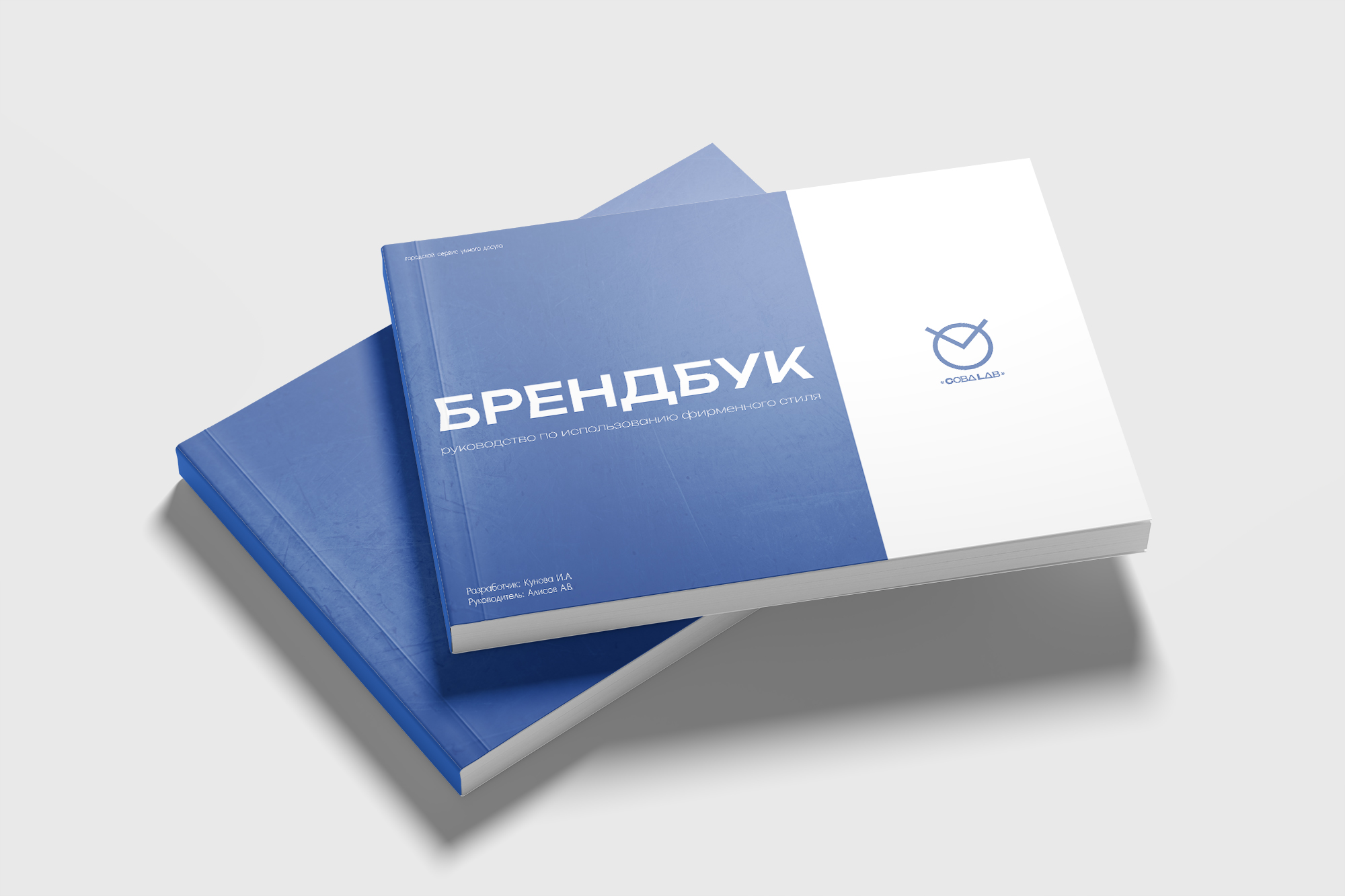 Разработка фирменного стиля и брендбука для ООО «СОВА.LAB» — Изображение №36 — Брендинг на Dprofile