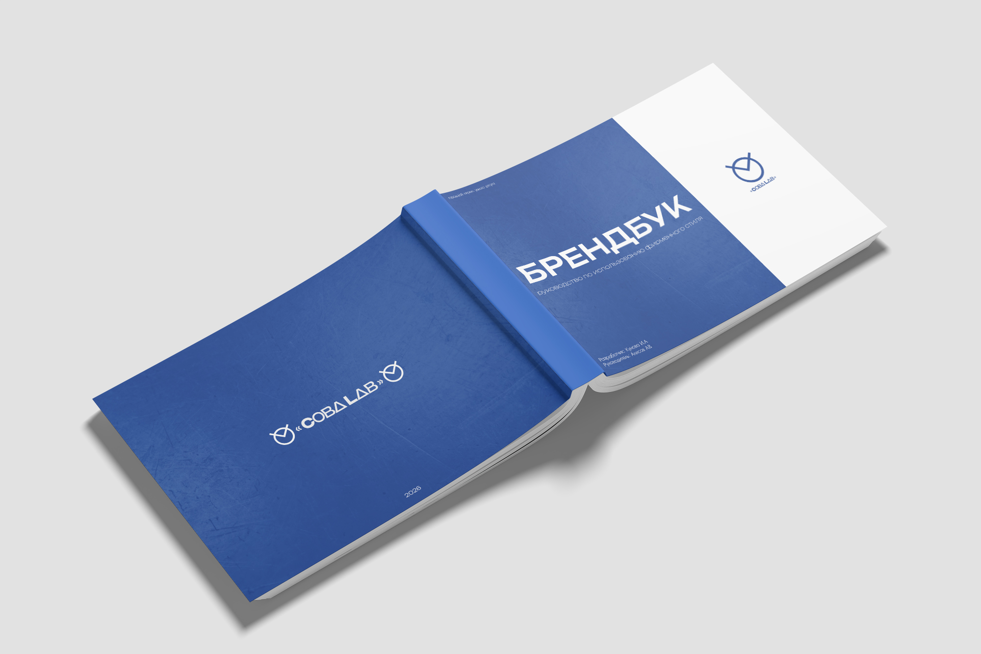 Разработка фирменного стиля и брендбука для ООО «СОВА.LAB» — Изображение №69 — Брендинг на Dprofile