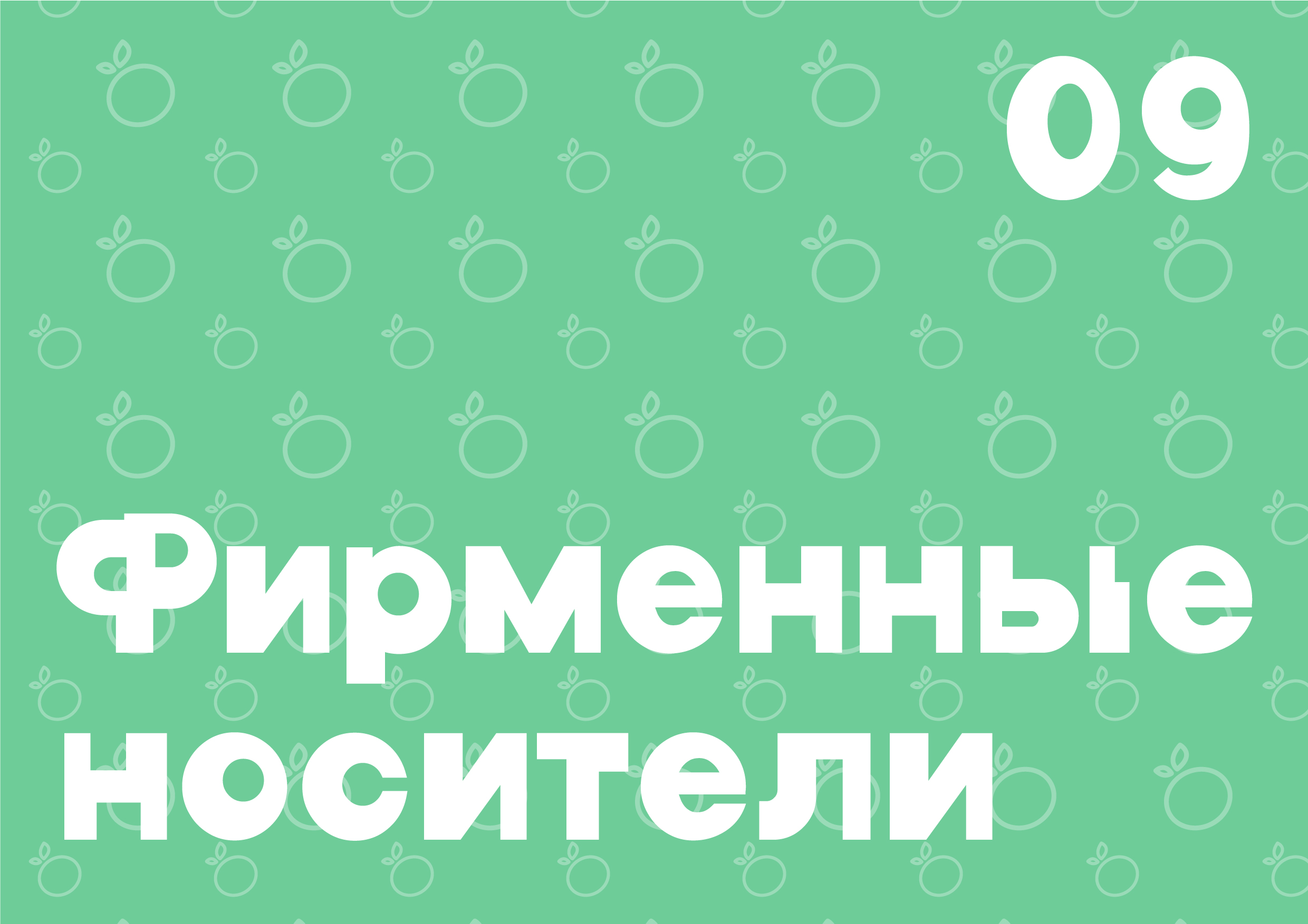 Разработка фирменного стиля детское кафе «Мандарин» — Изображение №25 — Брендинг, Графика на Dprofile