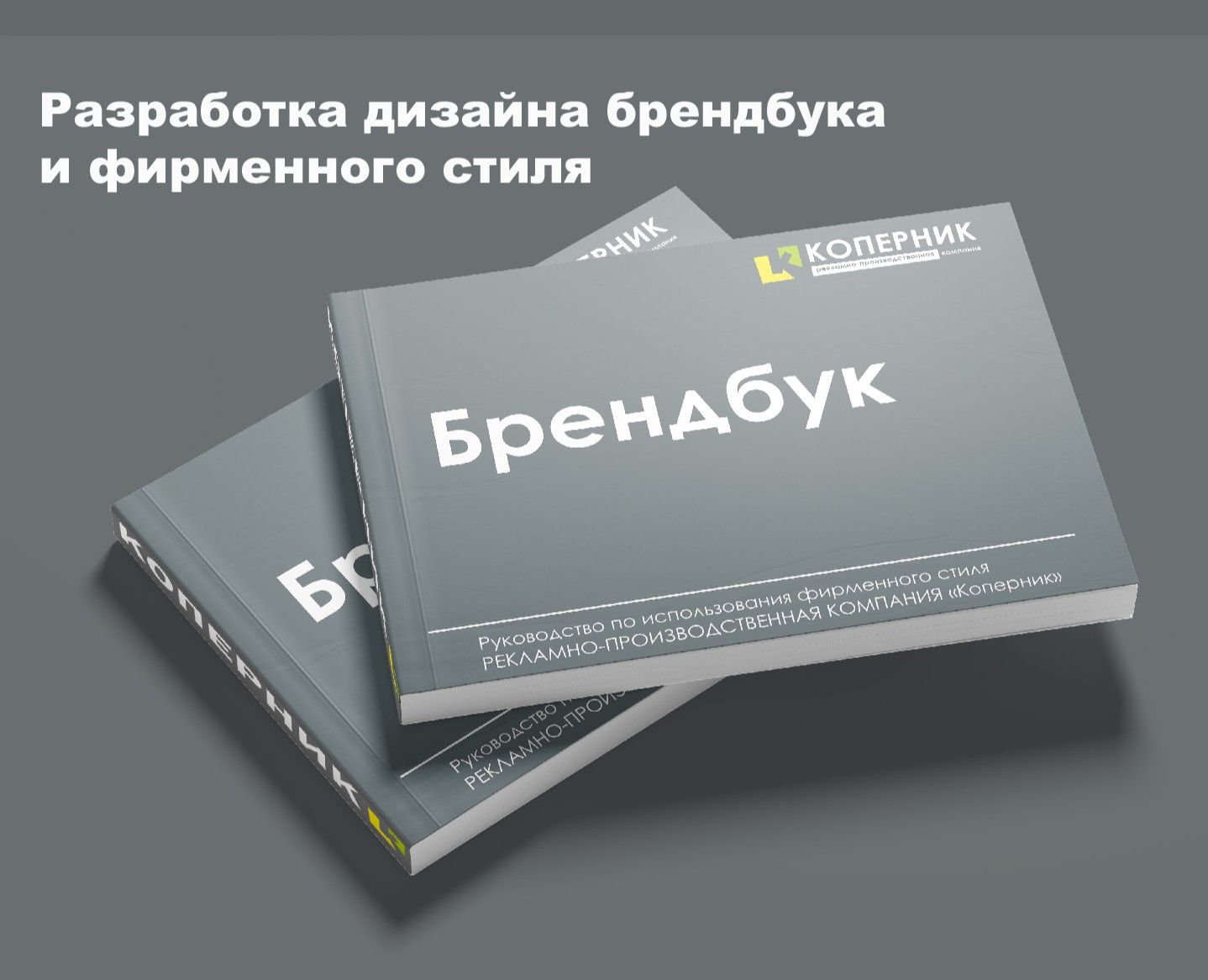 Разработка дизайна брендбука и фирменного стиля — Интерфейсы, Брендинг на Dprofile