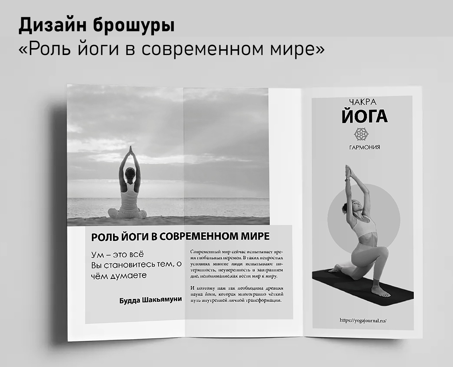 Дизайн брошюры — Интерфейсы, Графика на Dprofile