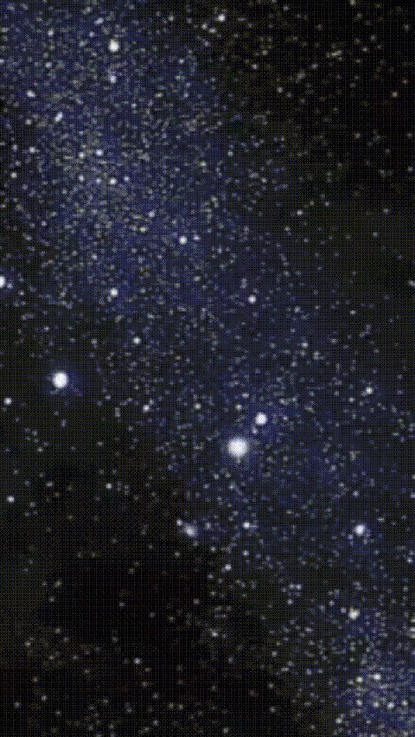 Студенческий журнал "Goteam" — Изображение №28 — Брендинг, Графика на Dprofile