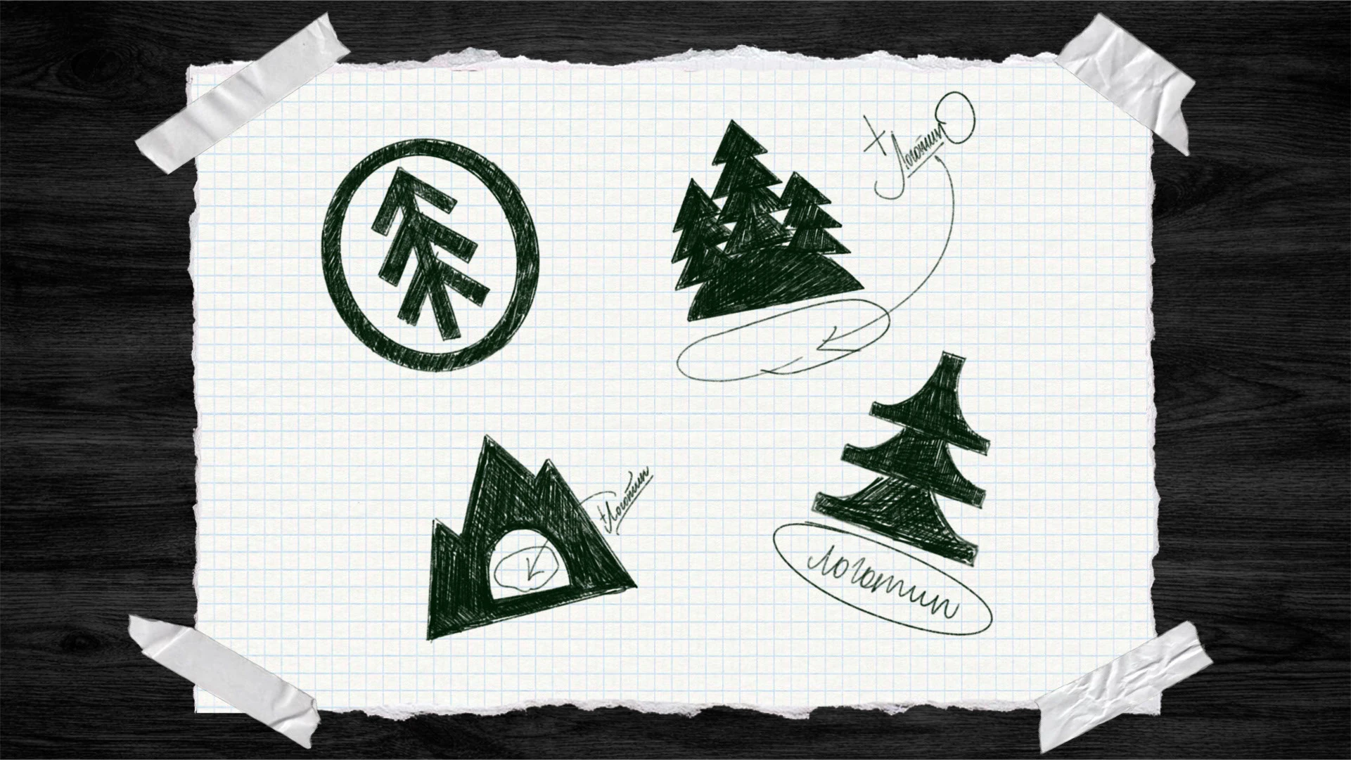 Сампо — Изображение №4 — Брендинг на Dprofile