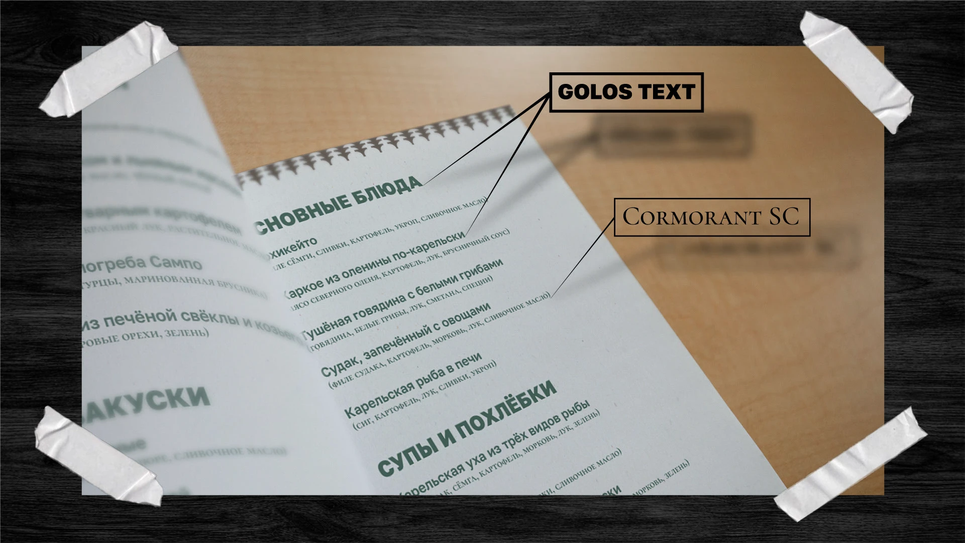 Сампо — Изображение №7 — Брендинг на Dprofile