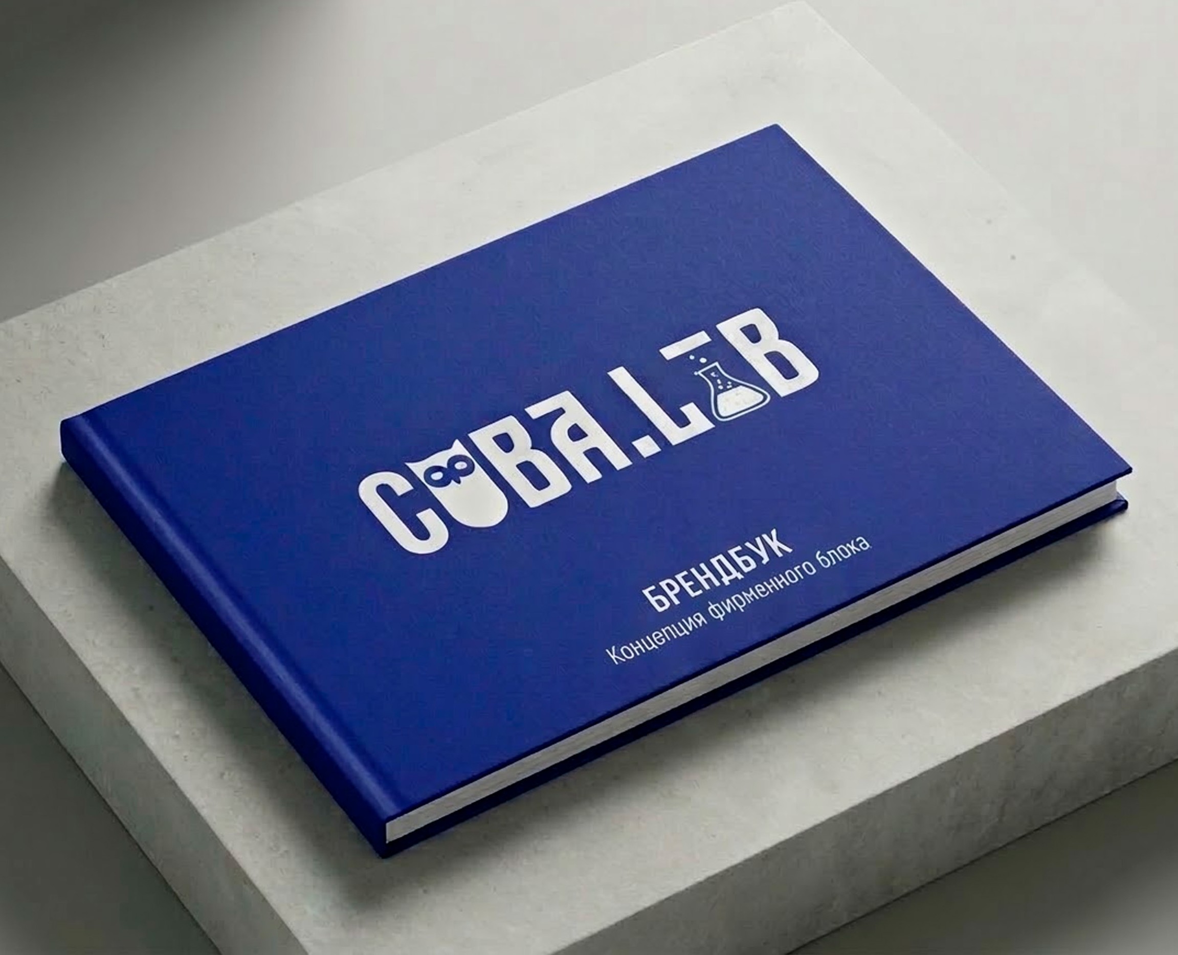 Разработка брендбука для компании СОВА.LAB на Dprofile