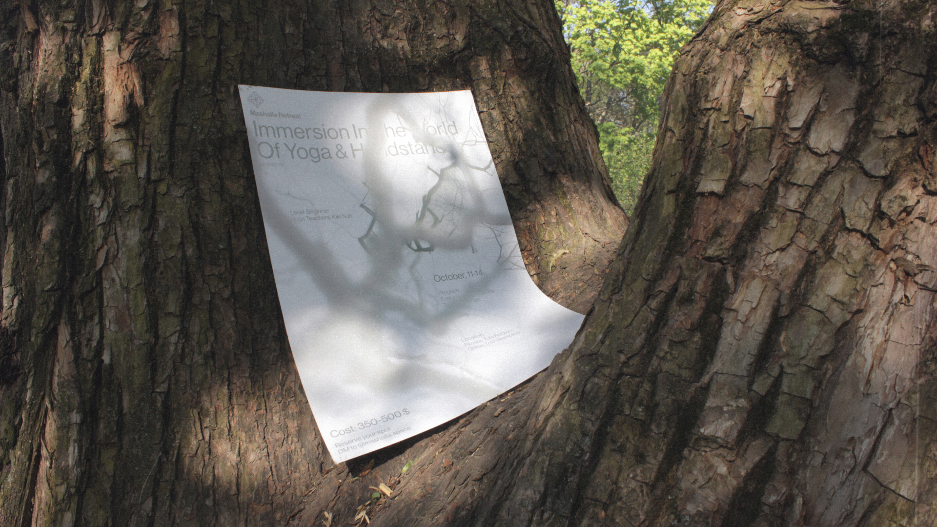 Йога-ретрит Mashalla — Изображение №7 — Брендинг, Графика на Dprofile