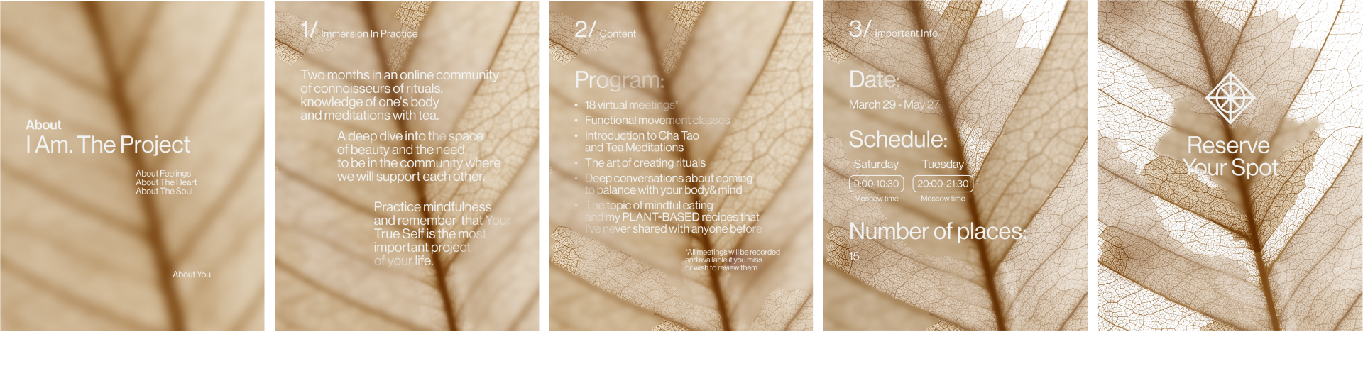 Йога-ретрит Mashalla — Изображение №14 — Брендинг, Графика на Dprofile