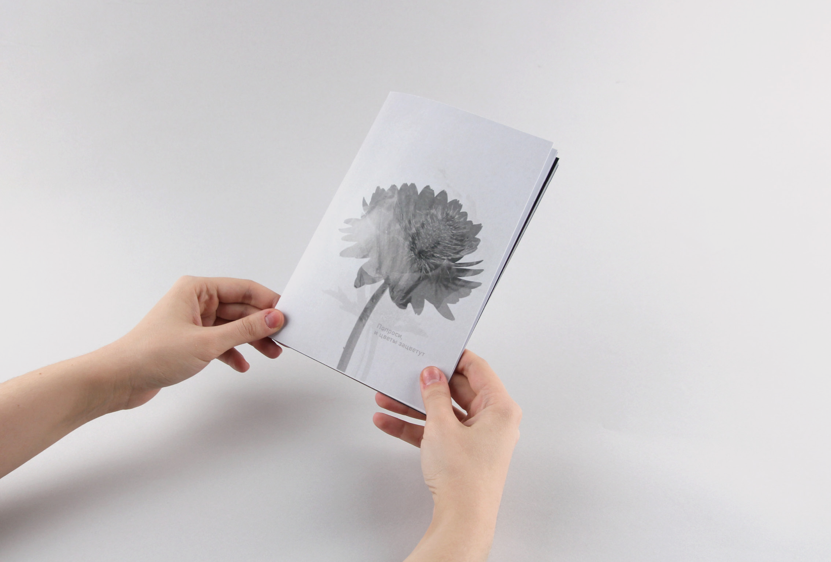 «Попроси, и цветы зацветут» — Изображение №1 — Графика на Dprofile