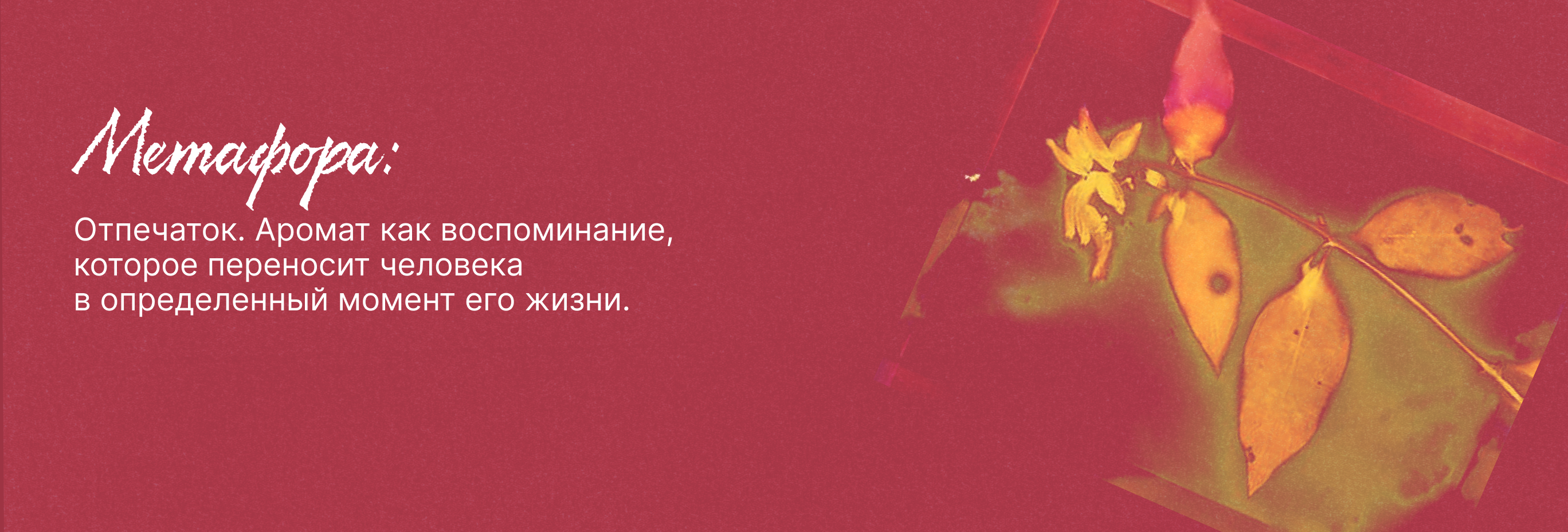 Упаковка коллекции ароматов Anka Radovski — Изображение №6 — Брендинг, Графика на Dprofile