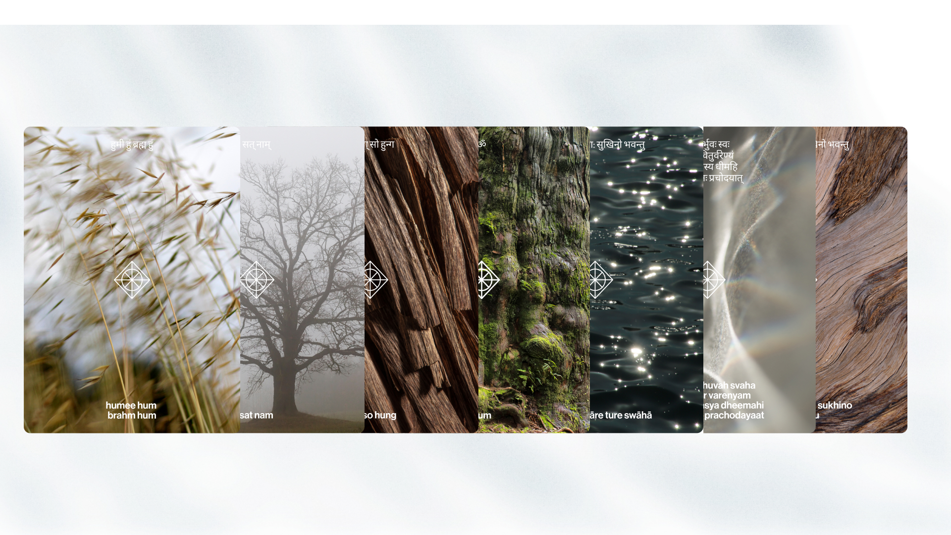 Йога-ретрит Mashalla — Изображение №33 — Брендинг, Графика на Dprofile