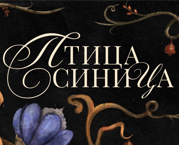 Фирменный стиль для инди-дуэта «птица синица» — Брендинг, Графика на Dprofile