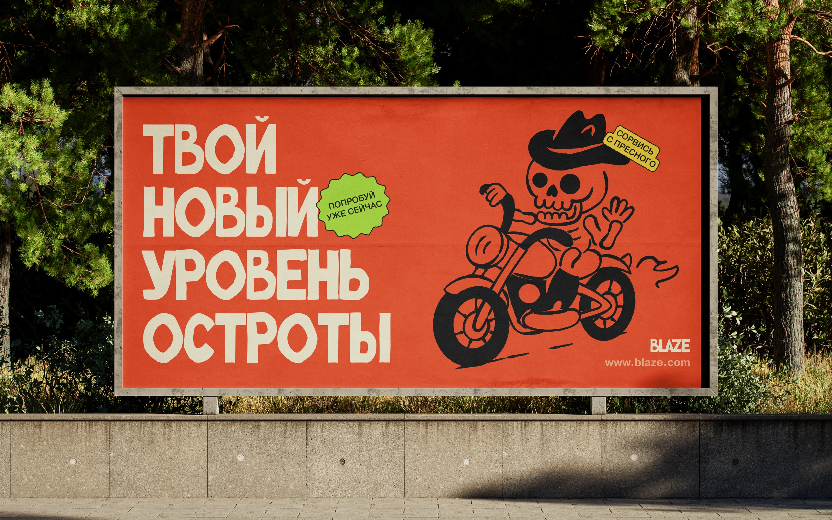 Соус Blaze| Branding & Web Design — Изображение №8 — Брендинг, Графика на Dprofile