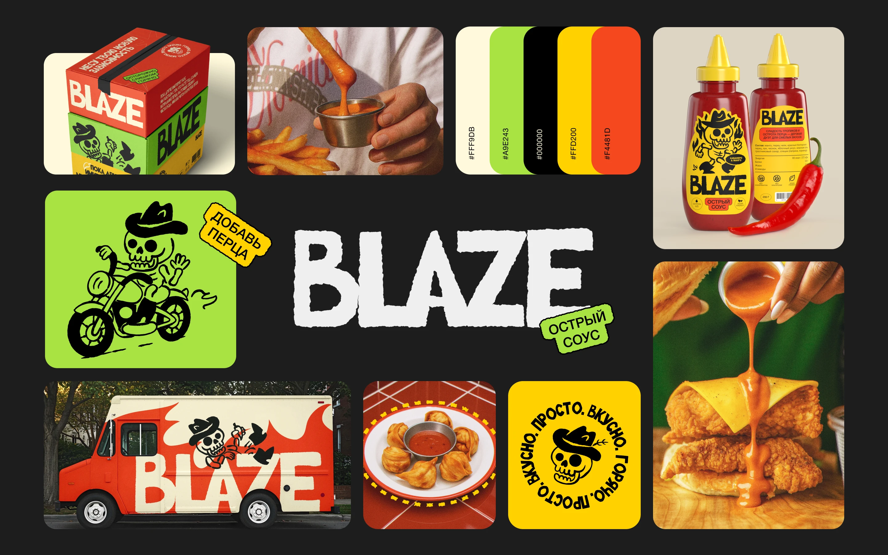 Соус Blaze| Branding & Web Design — Изображение №2 — Брендинг, Графика на Dprofile