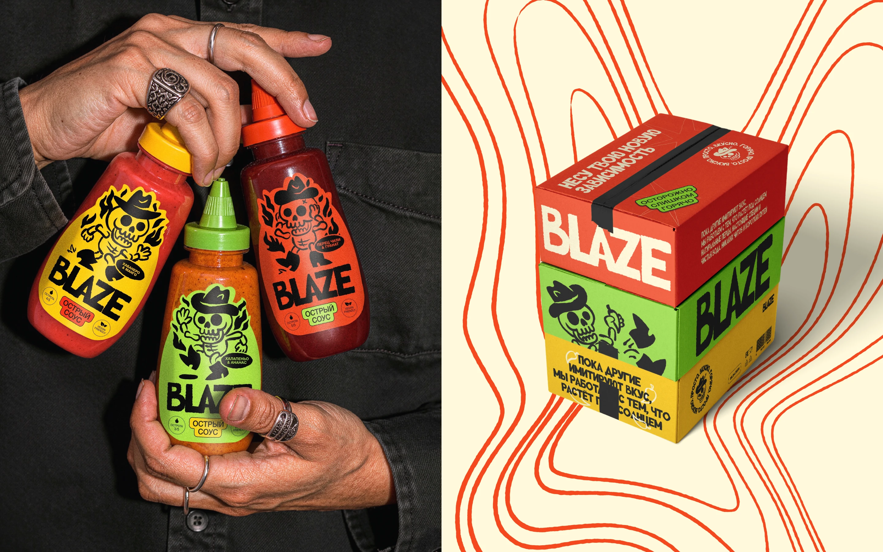Соус Blaze| Branding & Web Design — Изображение №9 — Брендинг, Графика на Dprofile