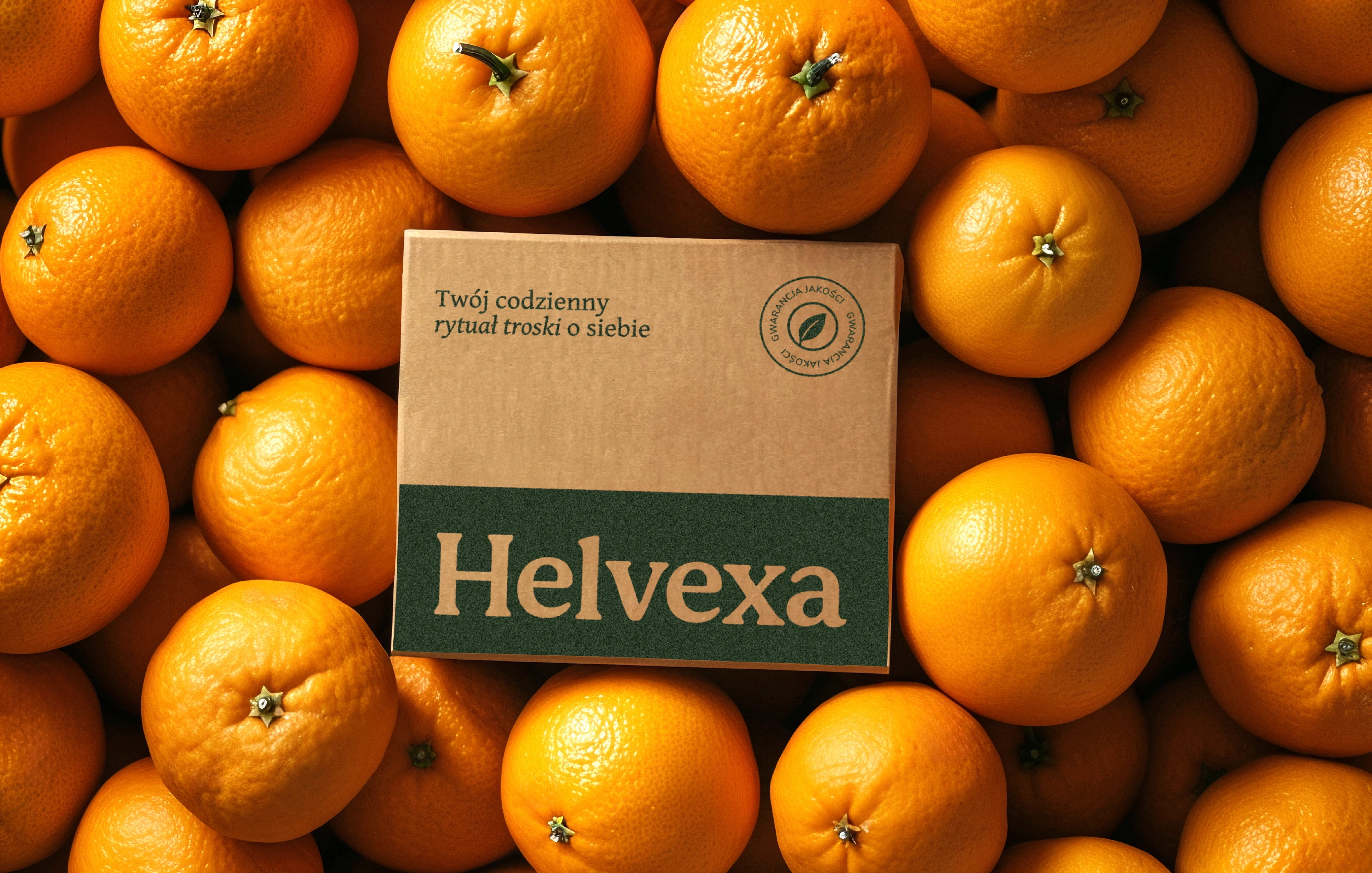 HELVEXA | LOGO & PACKAGING — Изображение №9 — Брендинг на Dprofile