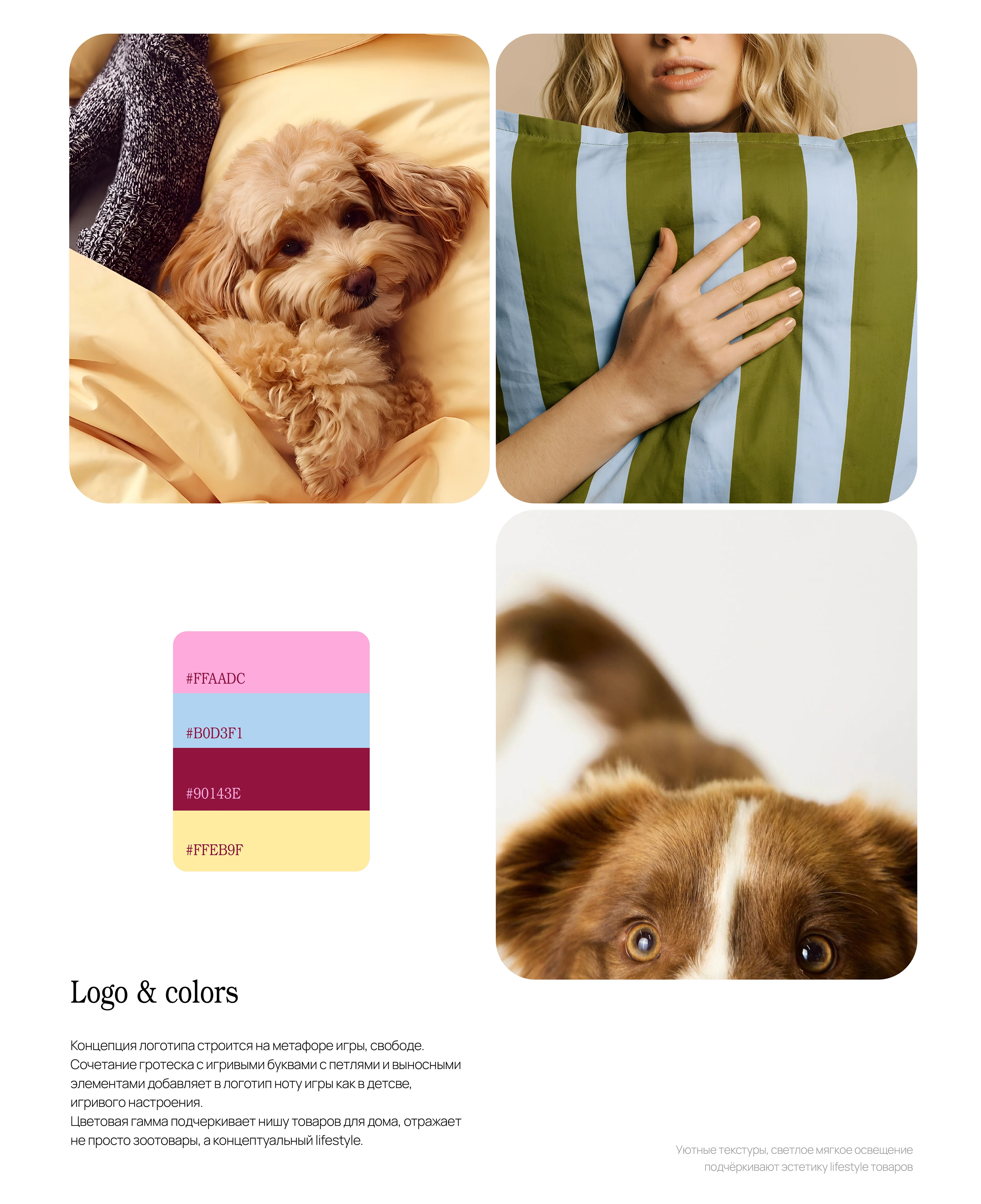 Прятки | BRAND IDENTITY PET & HOME — Изображение №3 — Брендинг на Dprofile