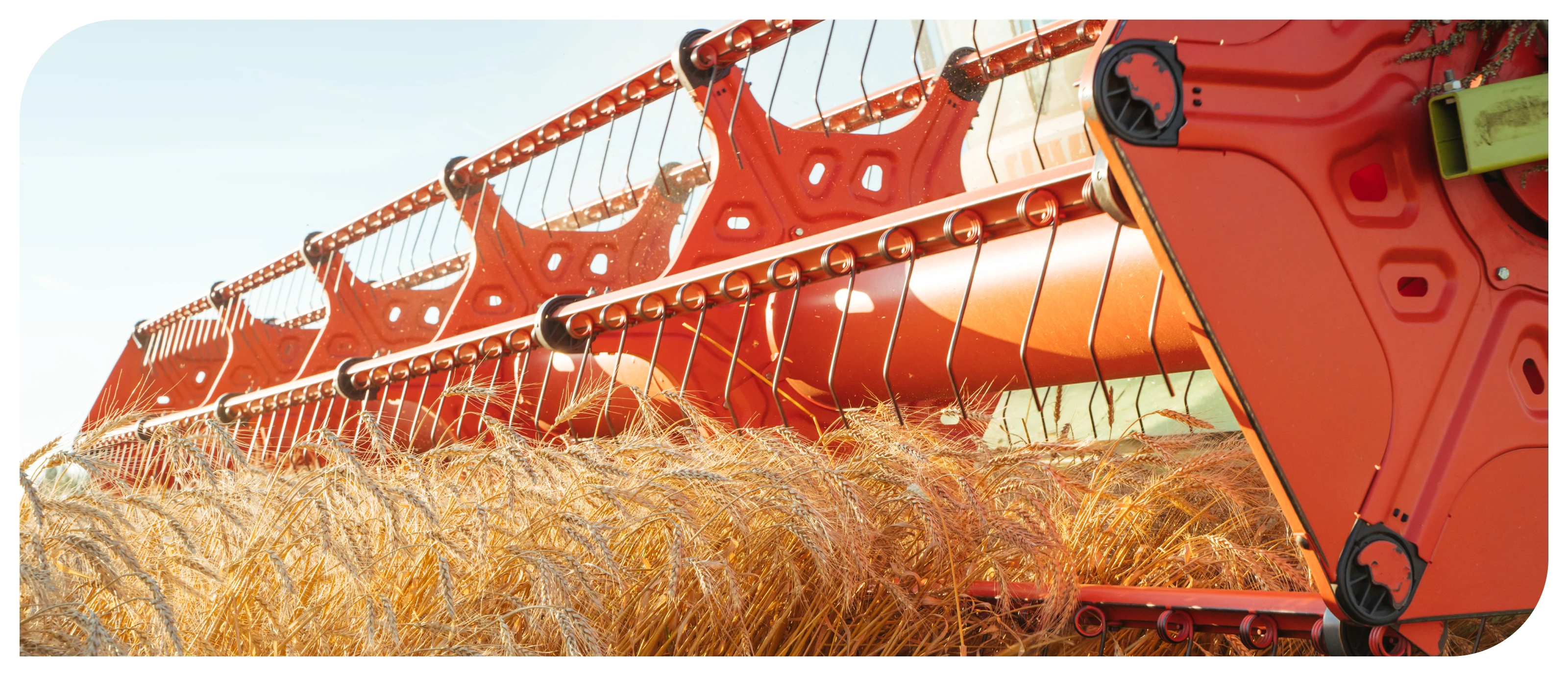 Брендбук для ООО «Русагронова семена» — Изображение №11 — Брендинг на Dprofile