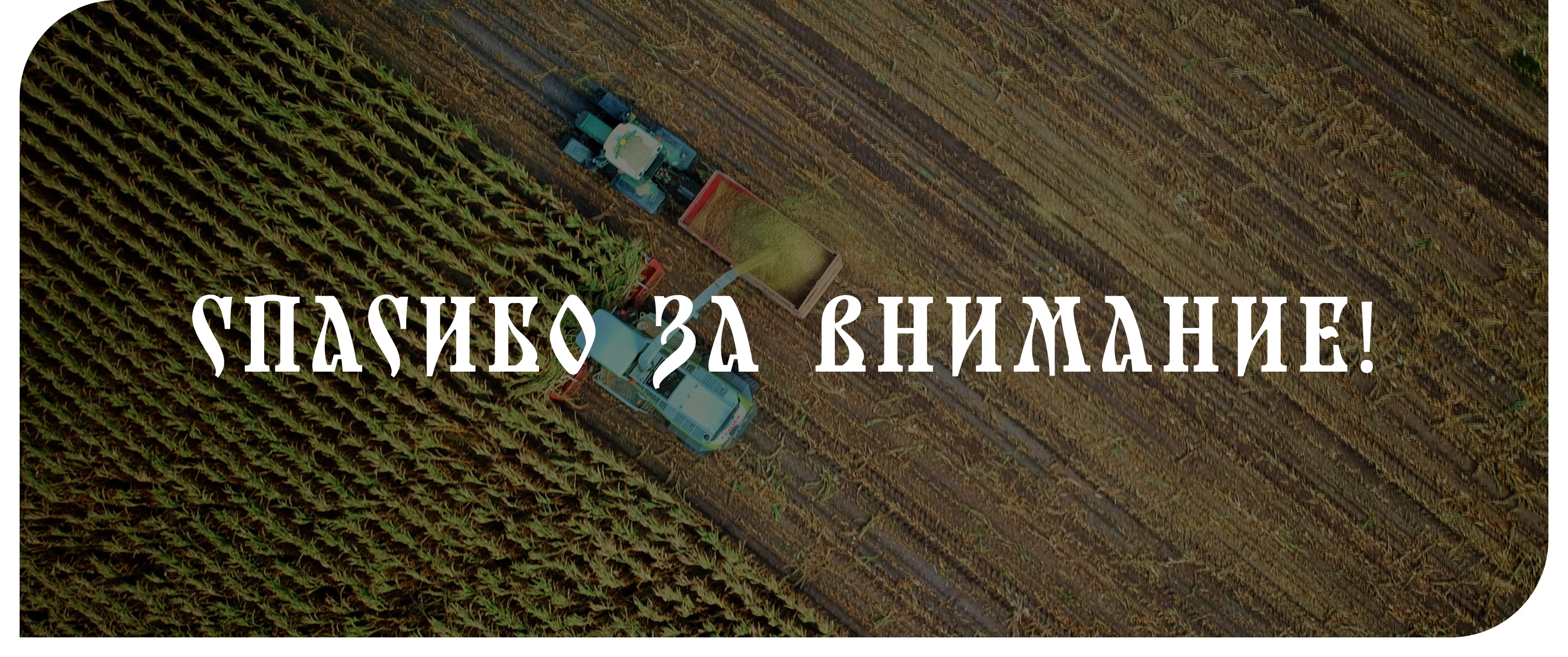 Брендбук для ООО «Русагронова семена» — Изображение №16 — Брендинг на Dprofile