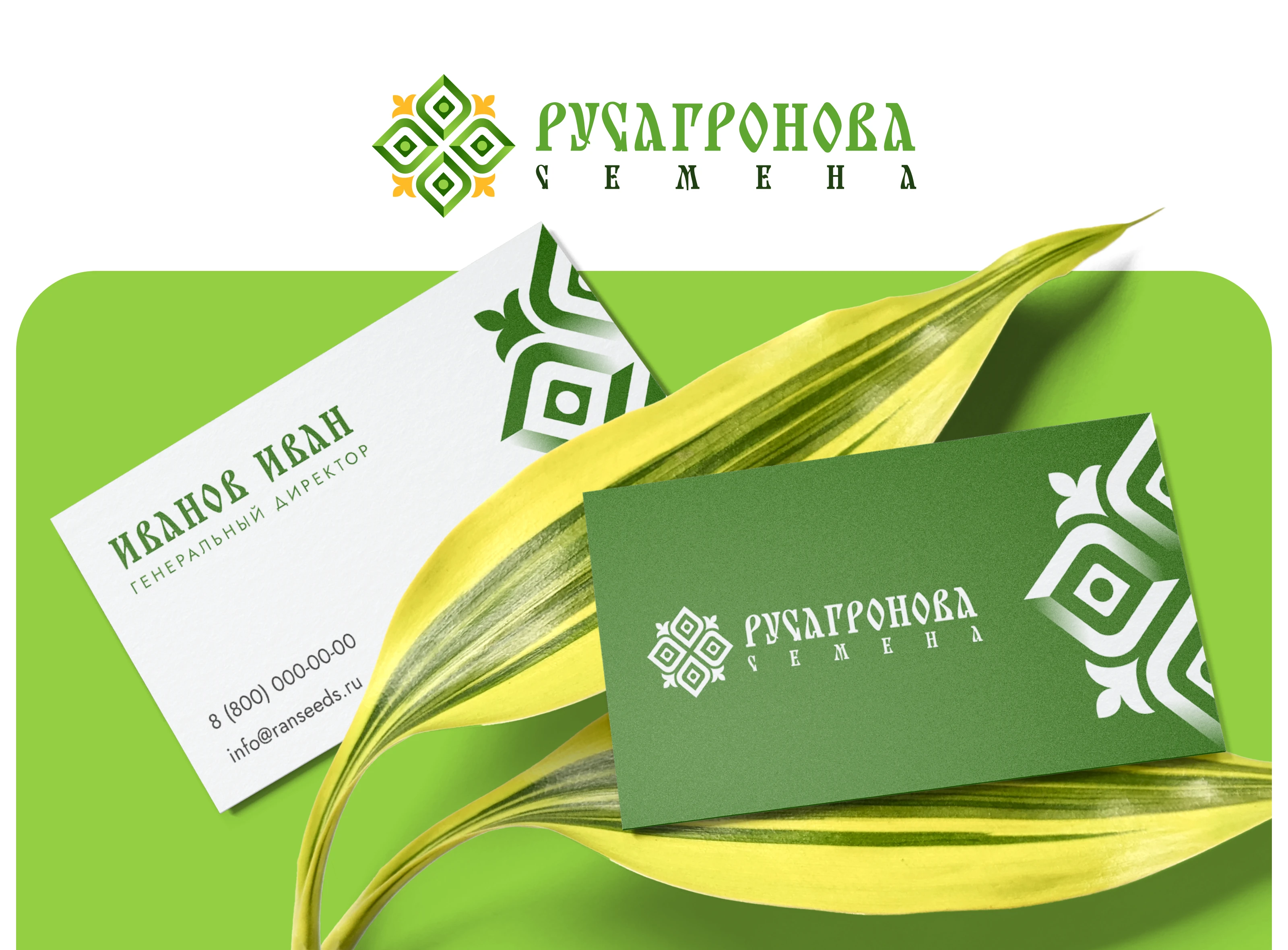 Брендбук для ООО «Русагронова семена» — Изображение №1 — Брендинг на Dprofile