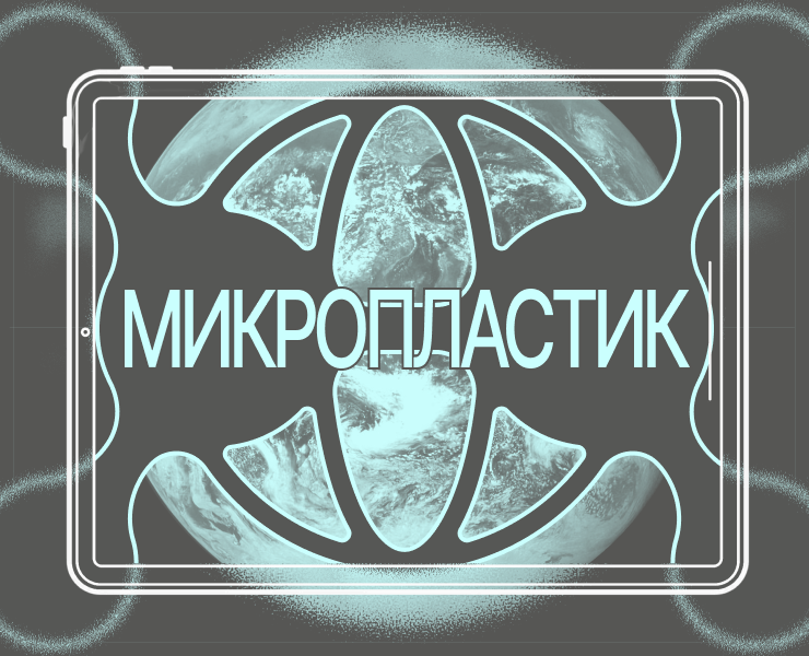 Сайт Консорциума «Микропластик в окружающей среде» на Dprofile