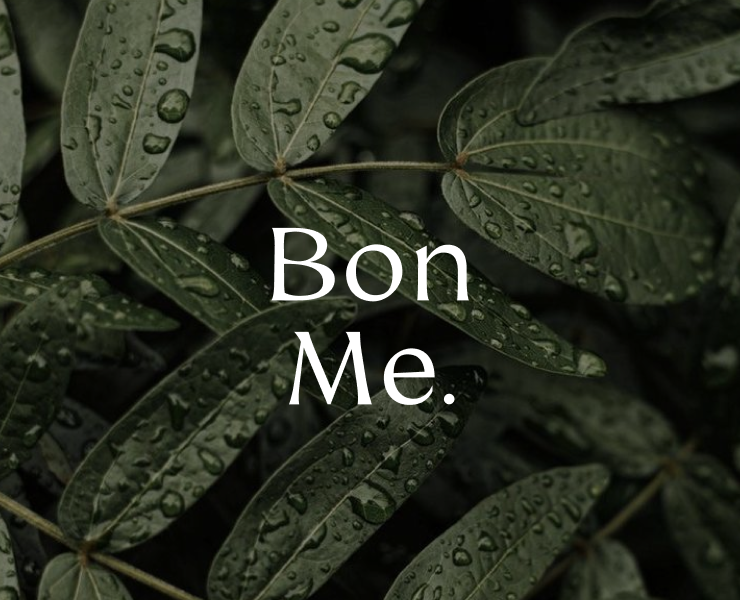 BonMe — Cosmetics Brand Identity на Dprofile
