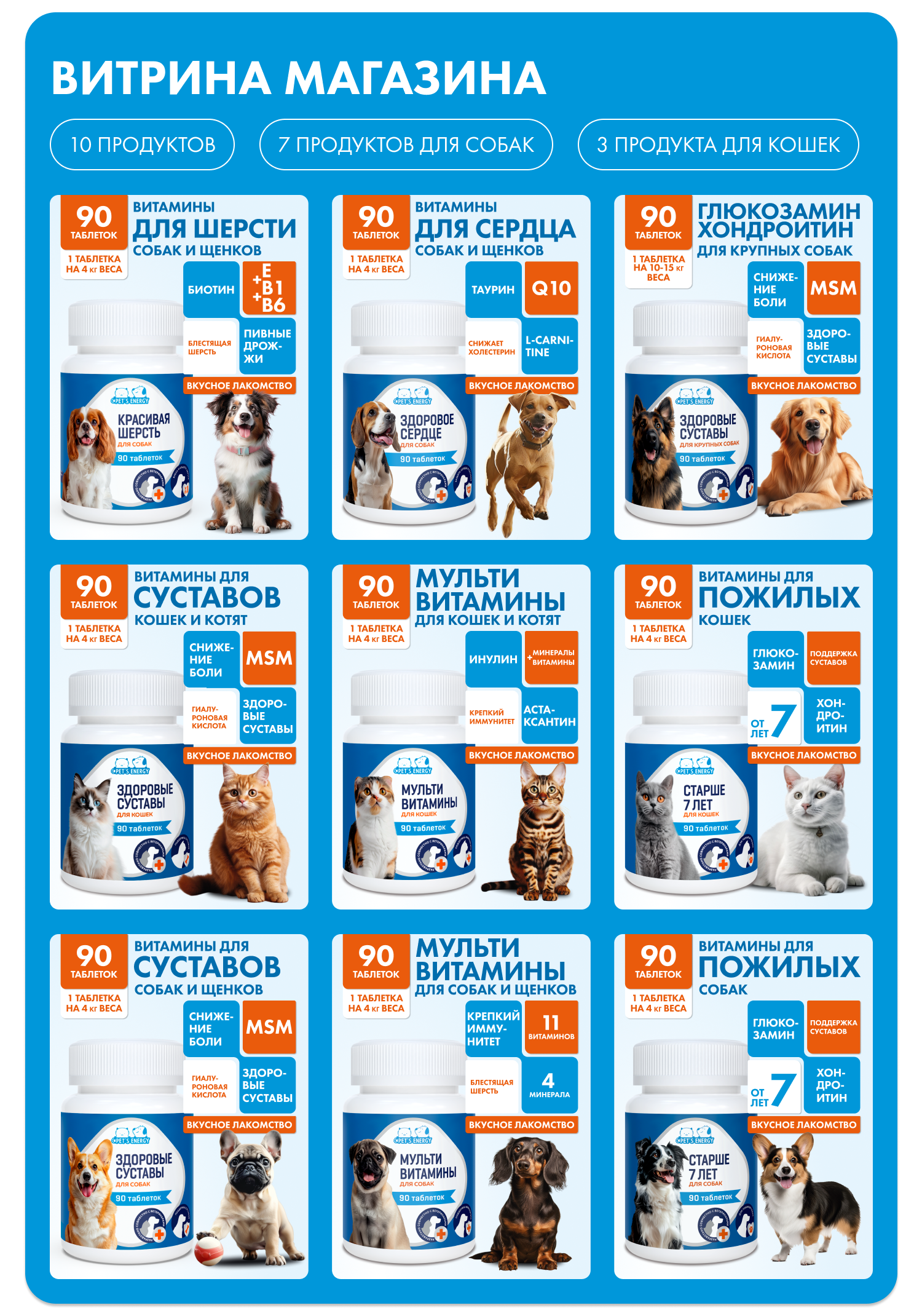 Pet's energy инфографика — Изображение №13 — Брендинг, Маркетинг на Dprofile
