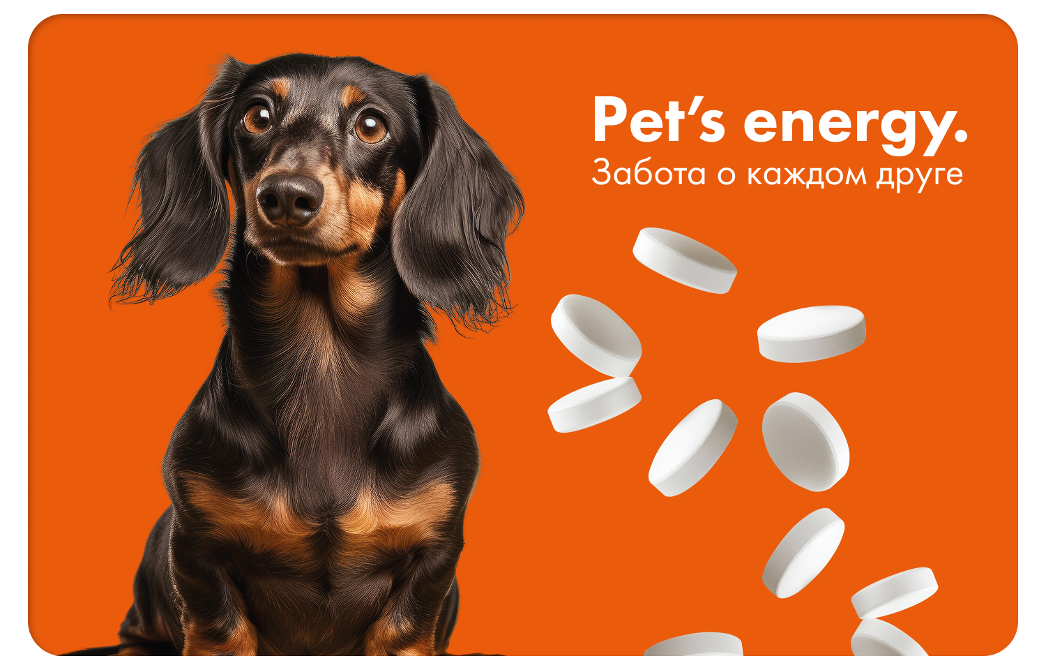 Pet's energy инфографика — Изображение №14 — Брендинг, Маркетинг на Dprofile