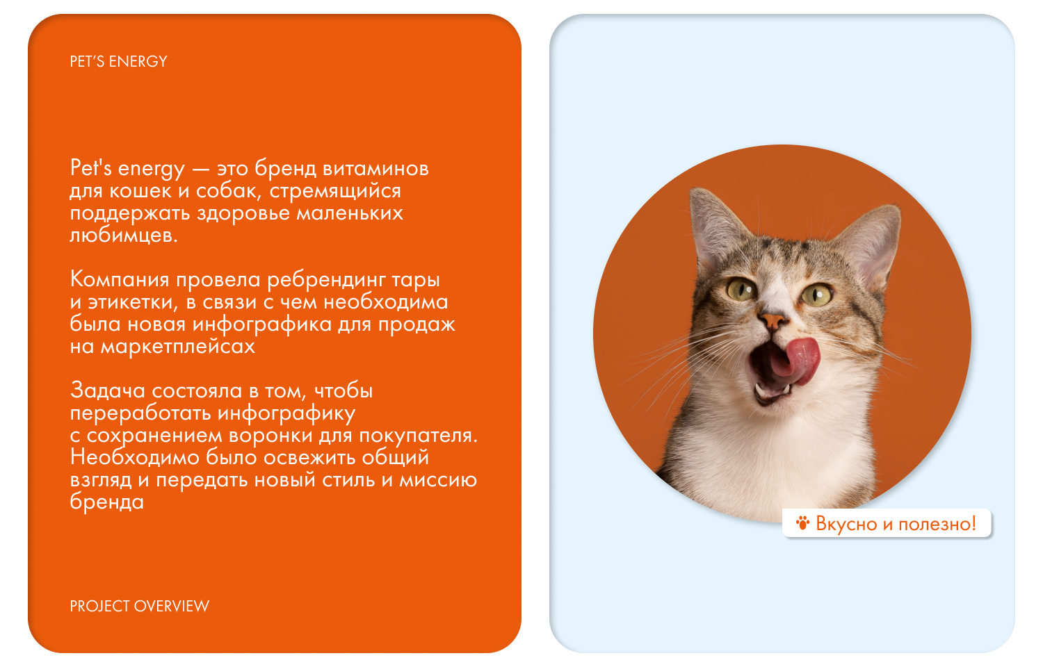 Pet's energy инфографика — Изображение №3 — Брендинг, Маркетинг на Dprofile