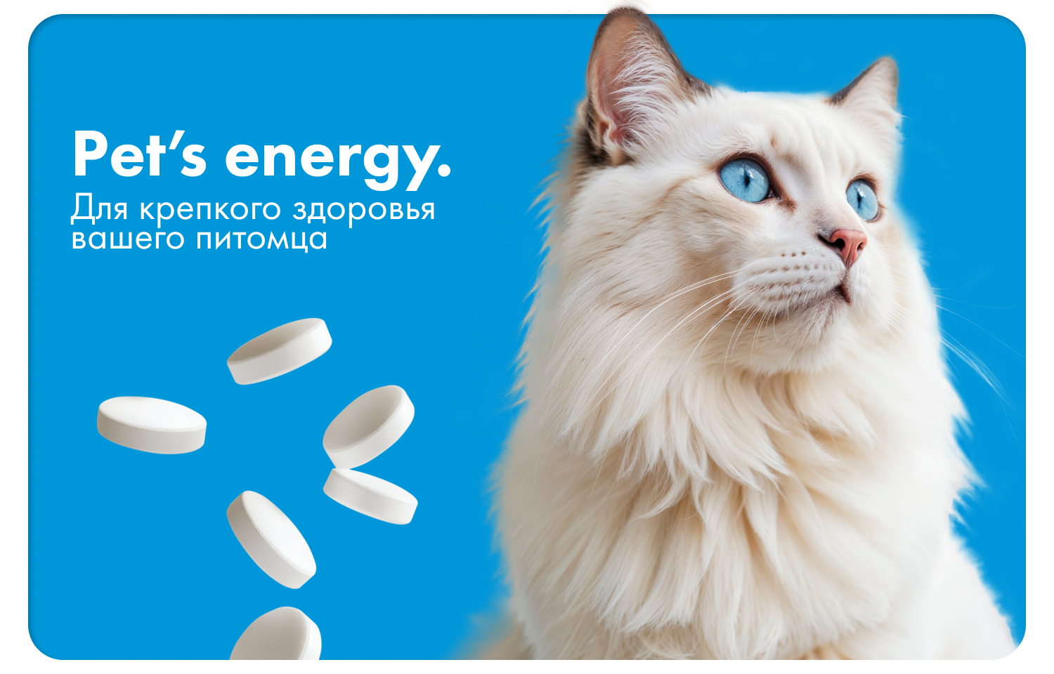 Pet's energy инфографика — Изображение №9 — Брендинг, Маркетинг на Dprofile
