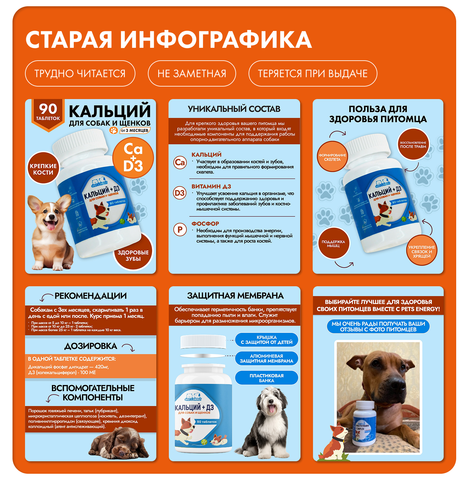 Pet's energy инфографика — Изображение №6 — Брендинг, Маркетинг на Dprofile