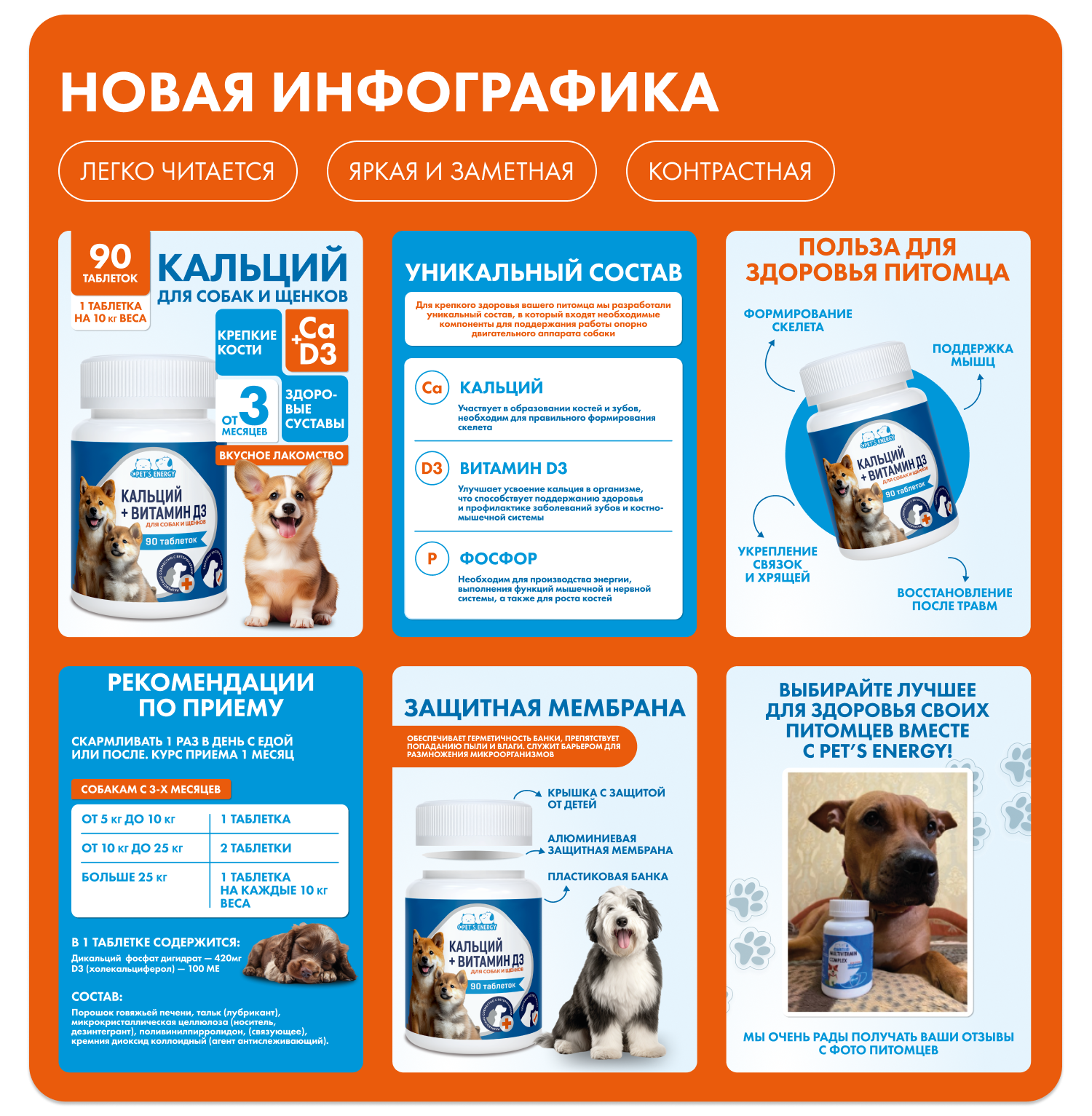 Pet's energy инфографика — Изображение №11 — Брендинг, Маркетинг на Dprofile