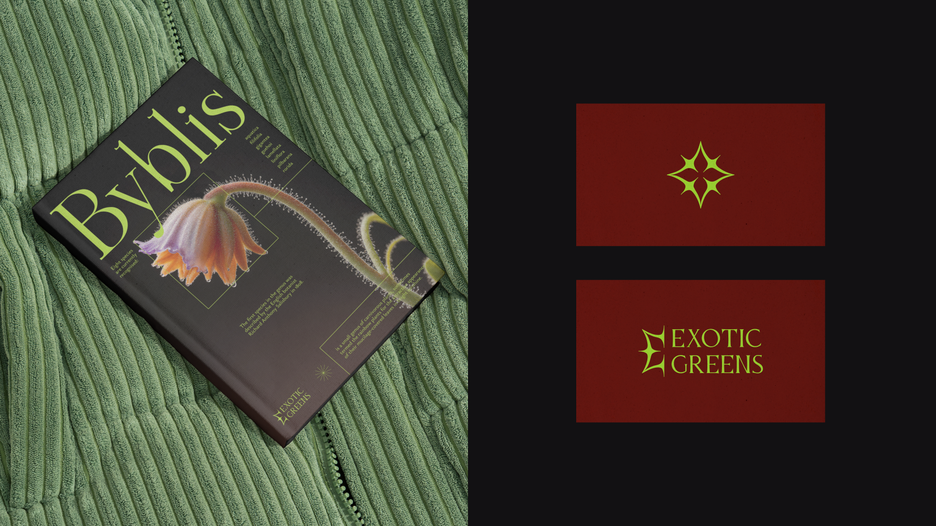 Логофолио 23-25 — Изображение №9 — Брендинг на Dprofile