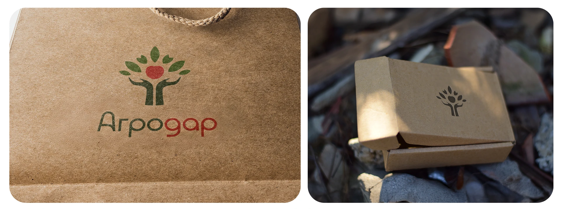 АГРОДАР/ Apple orchards brand — Изображение №9 — Брендинг на Dprofile