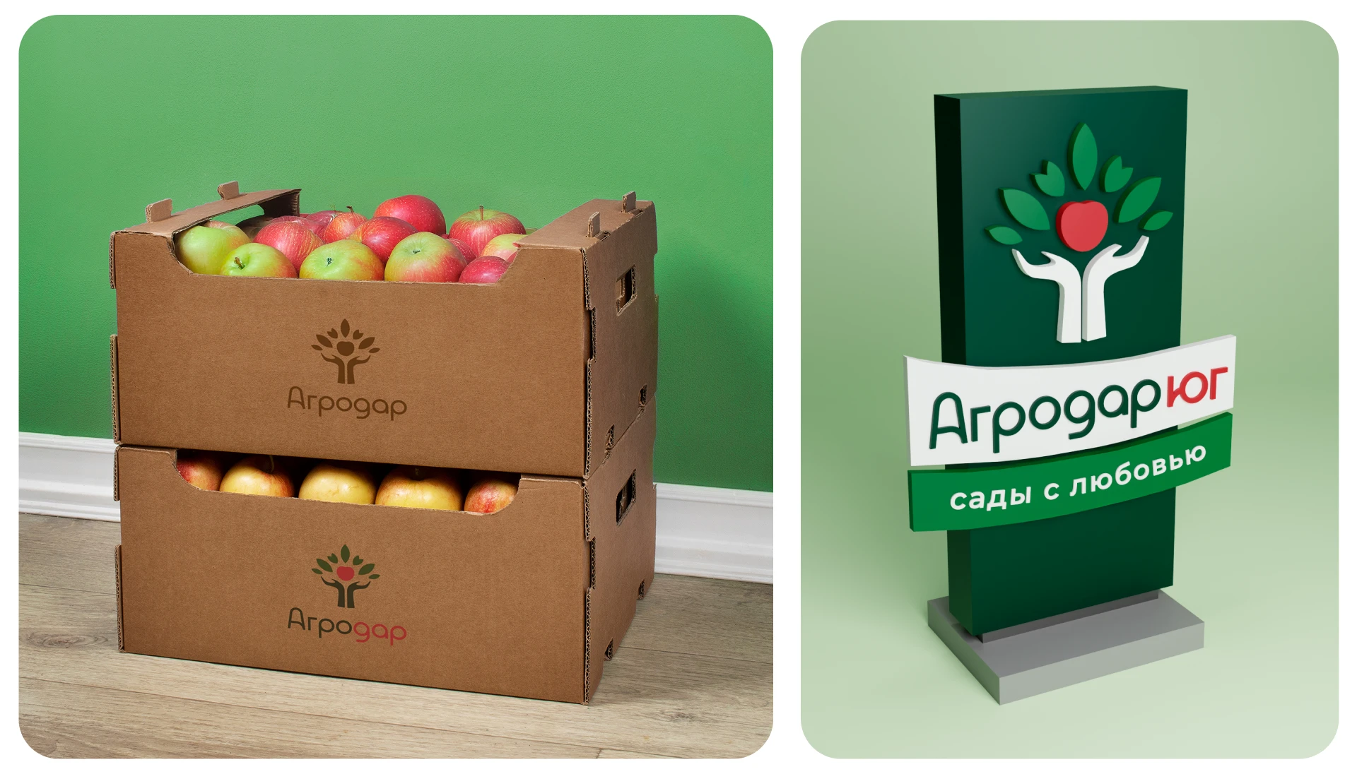 АГРОДАР/ Apple orchards brand — Изображение №16 — Брендинг на Dprofile