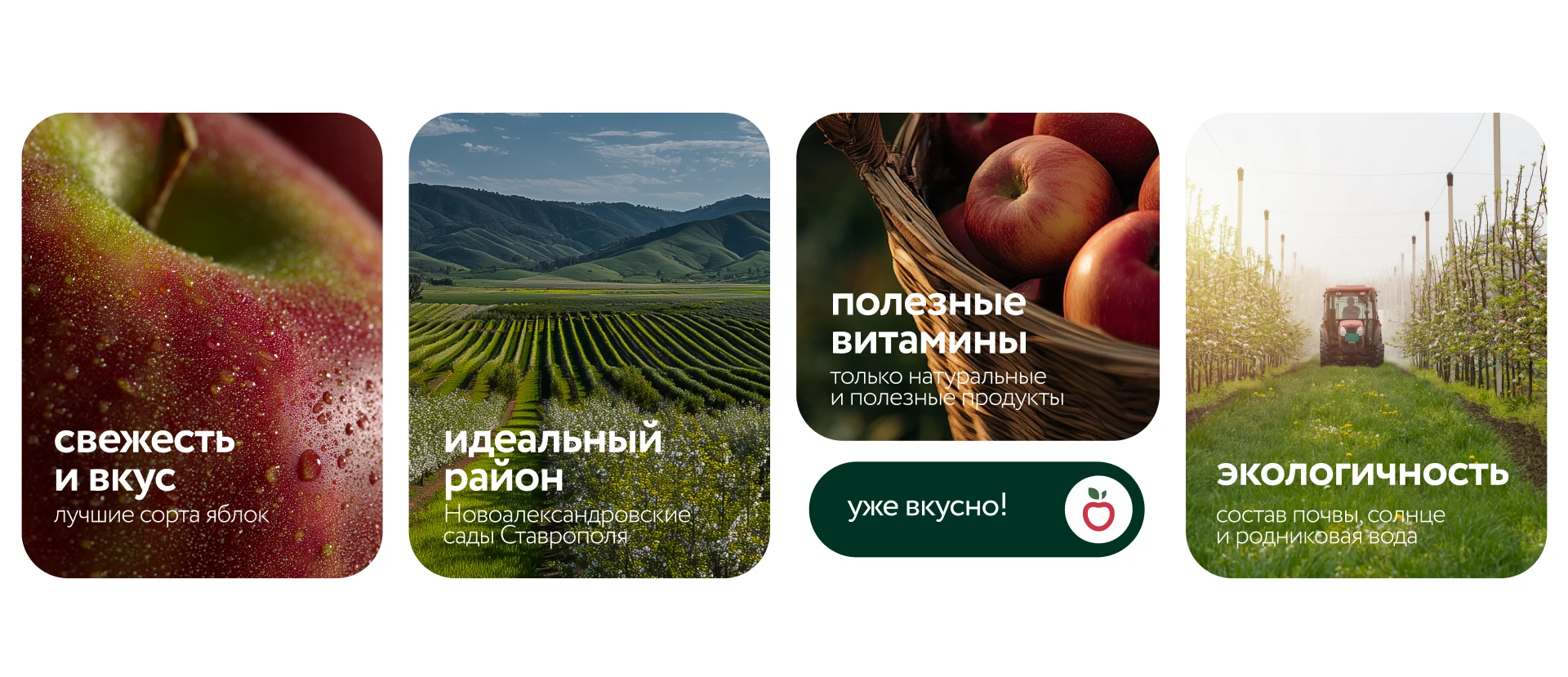 АГРОДАР/ Apple orchards brand — Изображение №6 — Брендинг на Dprofile