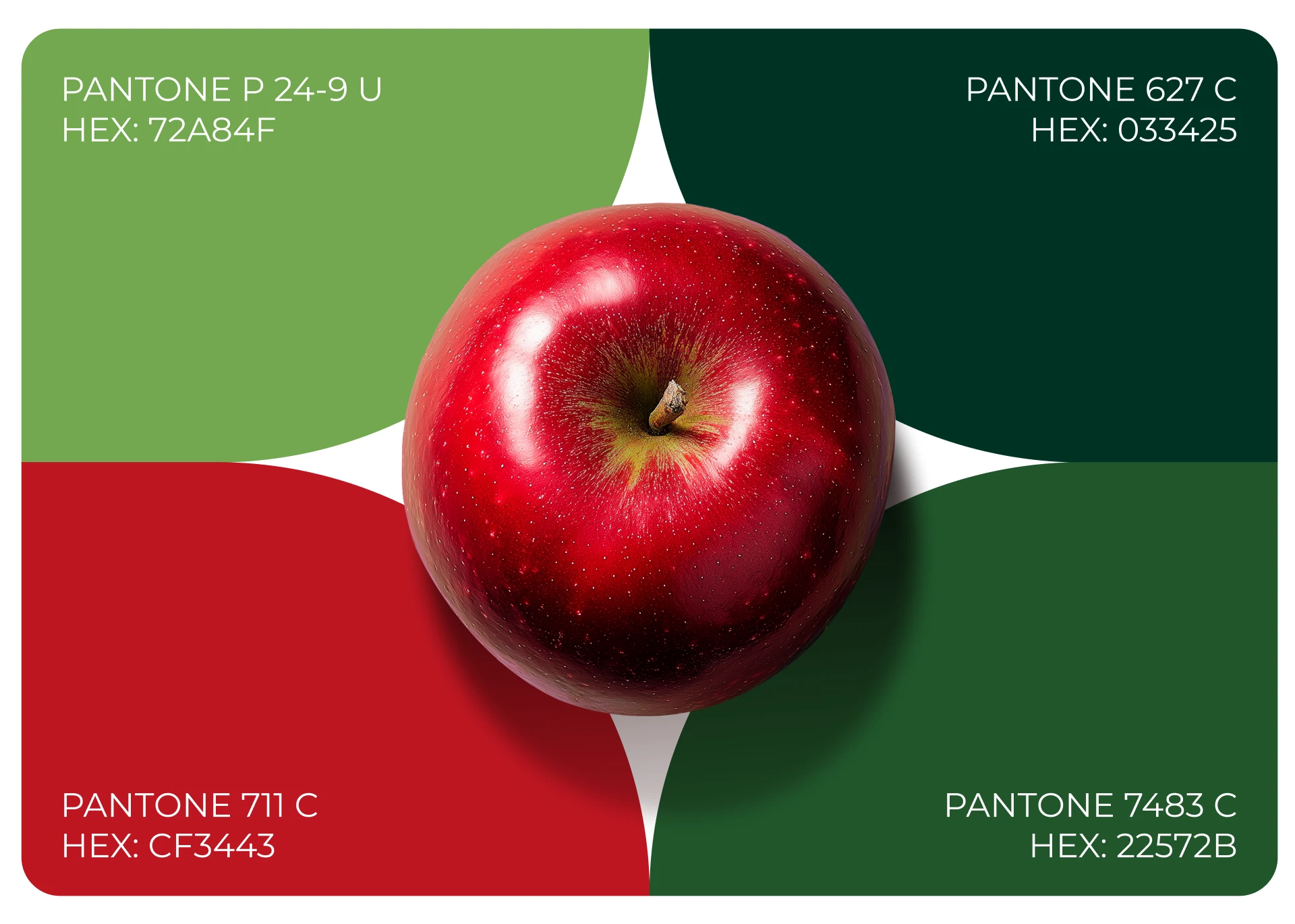 АГРОДАР/ Apple orchards brand — Изображение №8 — Брендинг на Dprofile