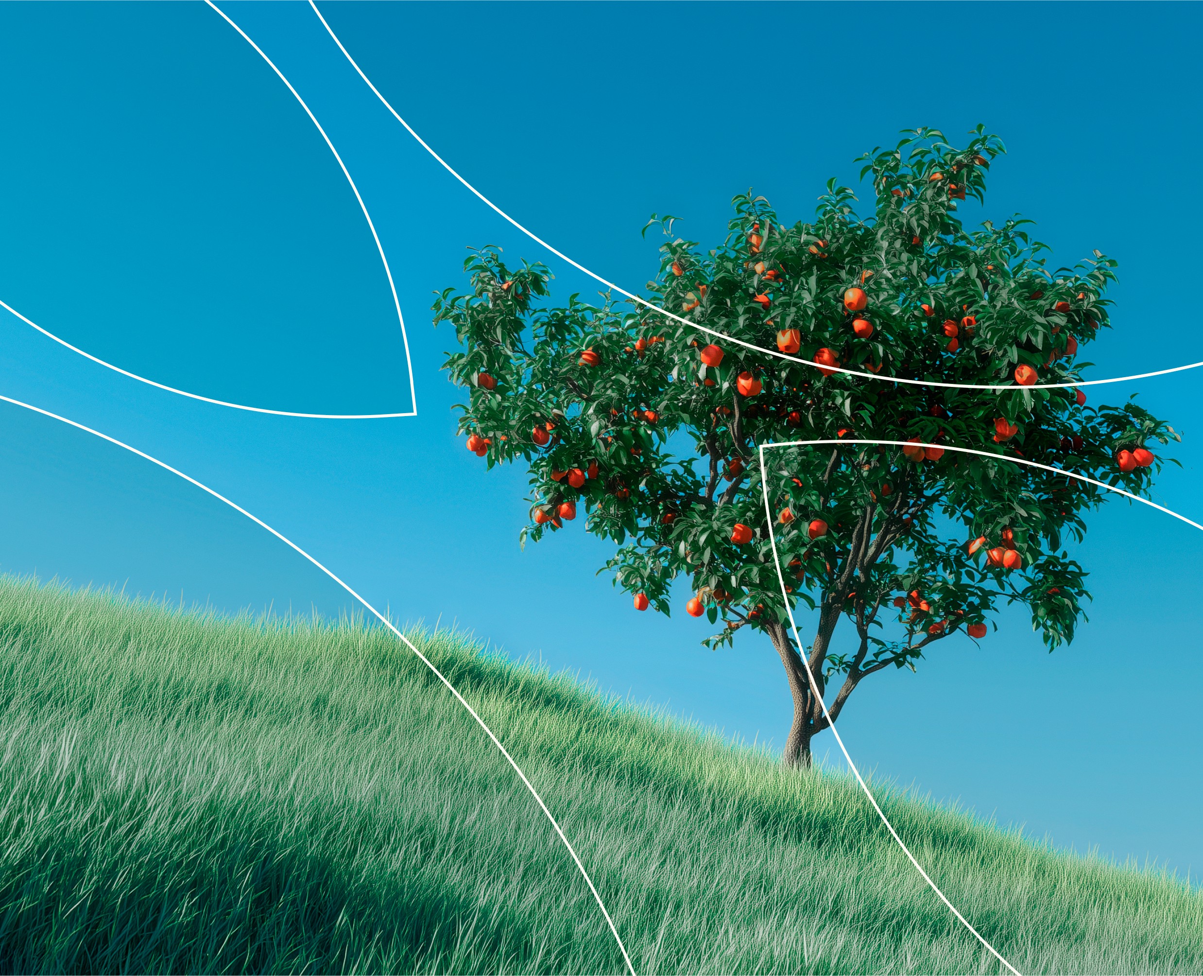 АГРОДАР/ Apple orchards brand на Dprofile