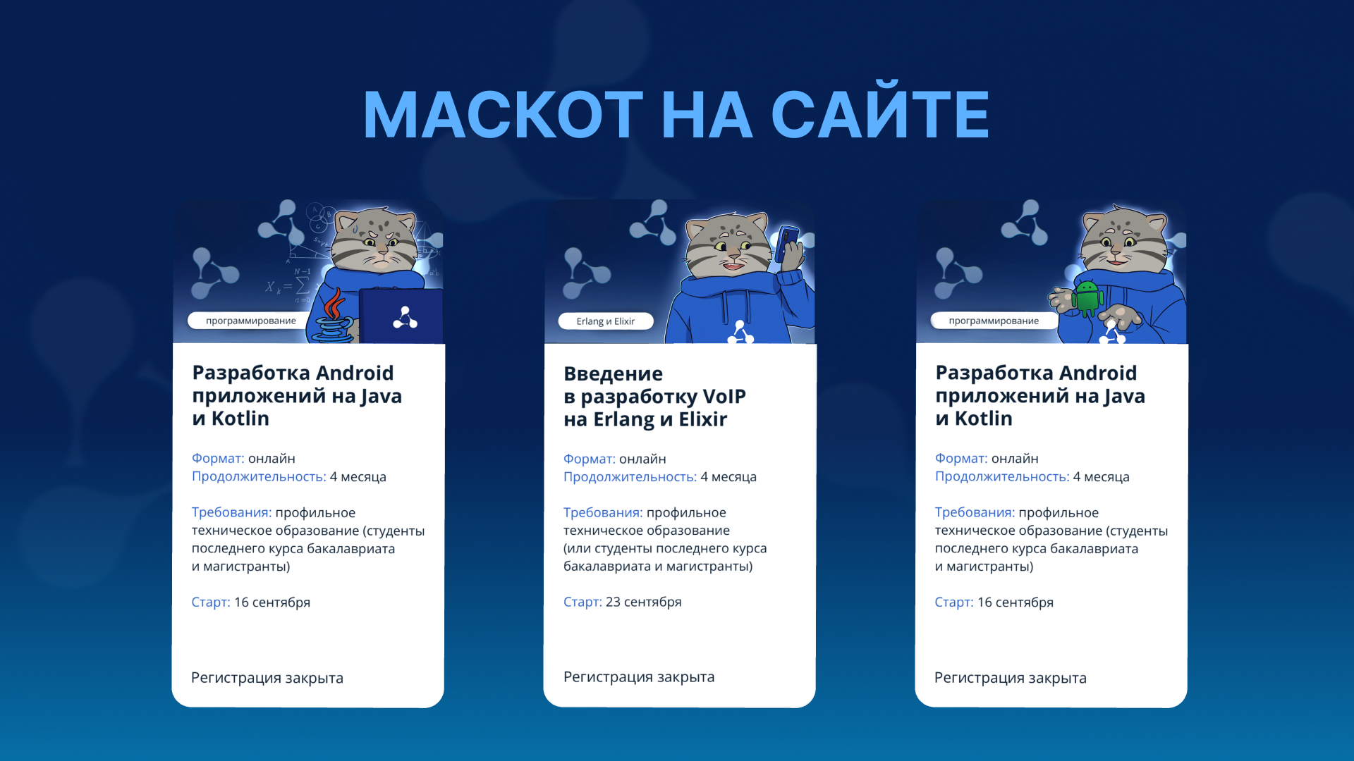 Разработка маскота кота манула — Изображение №5 — Иллюстрация на Dprofile