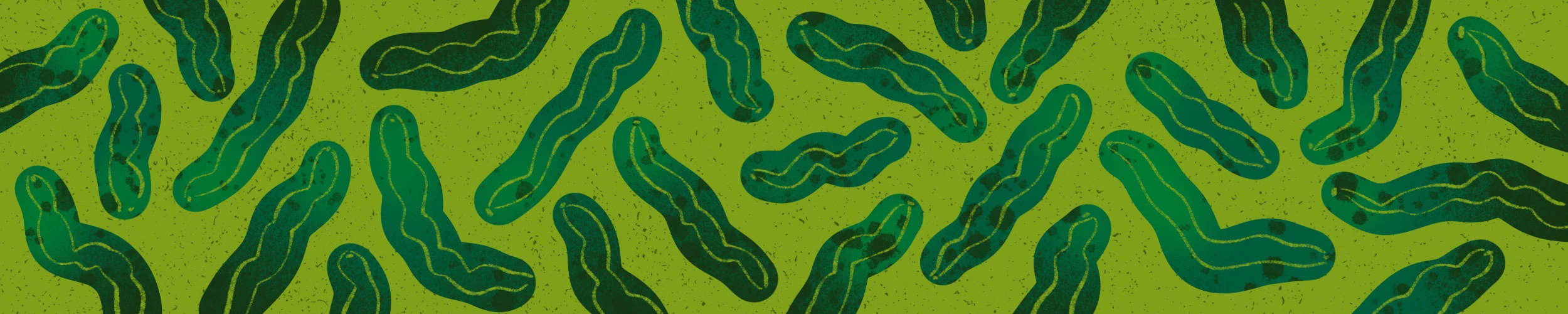 ДИЗАЙН ЭТИКЕТКИ для маринованных огурцов «Turtle Dicks» — Изображение №11 — Брендинг, Иллюстрация на Dprofile