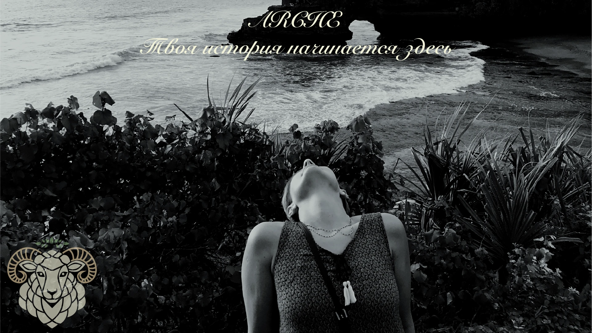 Брендбук ARCHE — Изображение №43 — Брендинг на Dprofile