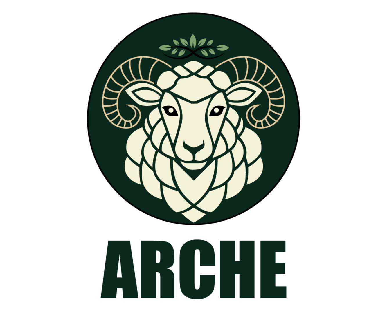 Брендбук ARCHE — Брендинг на Dprofile