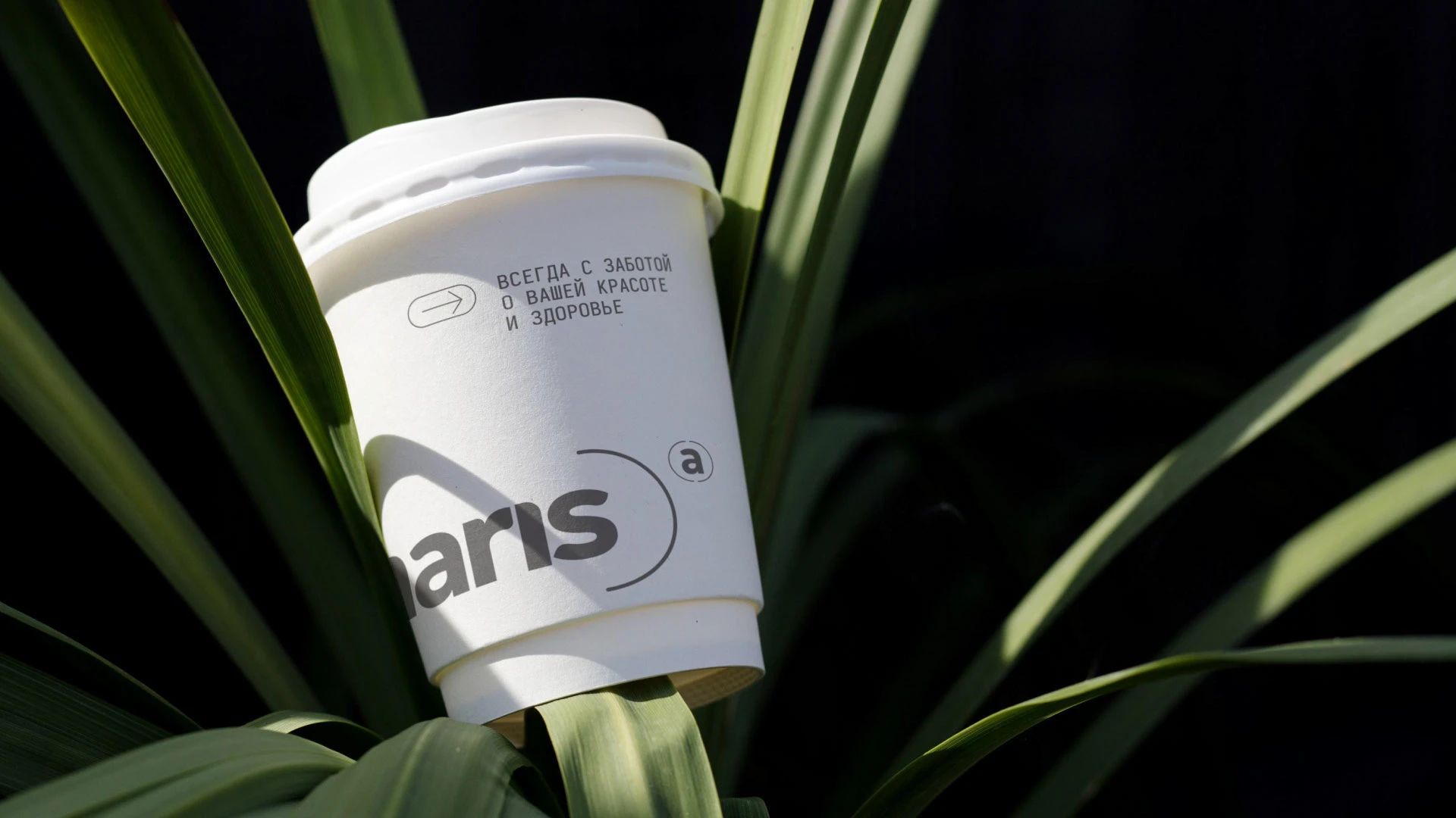 Адамарис | Центр эстетической медицины — Изображение №6 — Брендинг на Dprofile