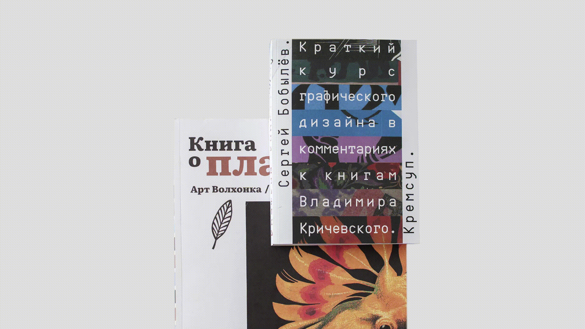 «Краткий курс графического дизайна..»| Книга — Изображение №1 — Графика на Dprofile