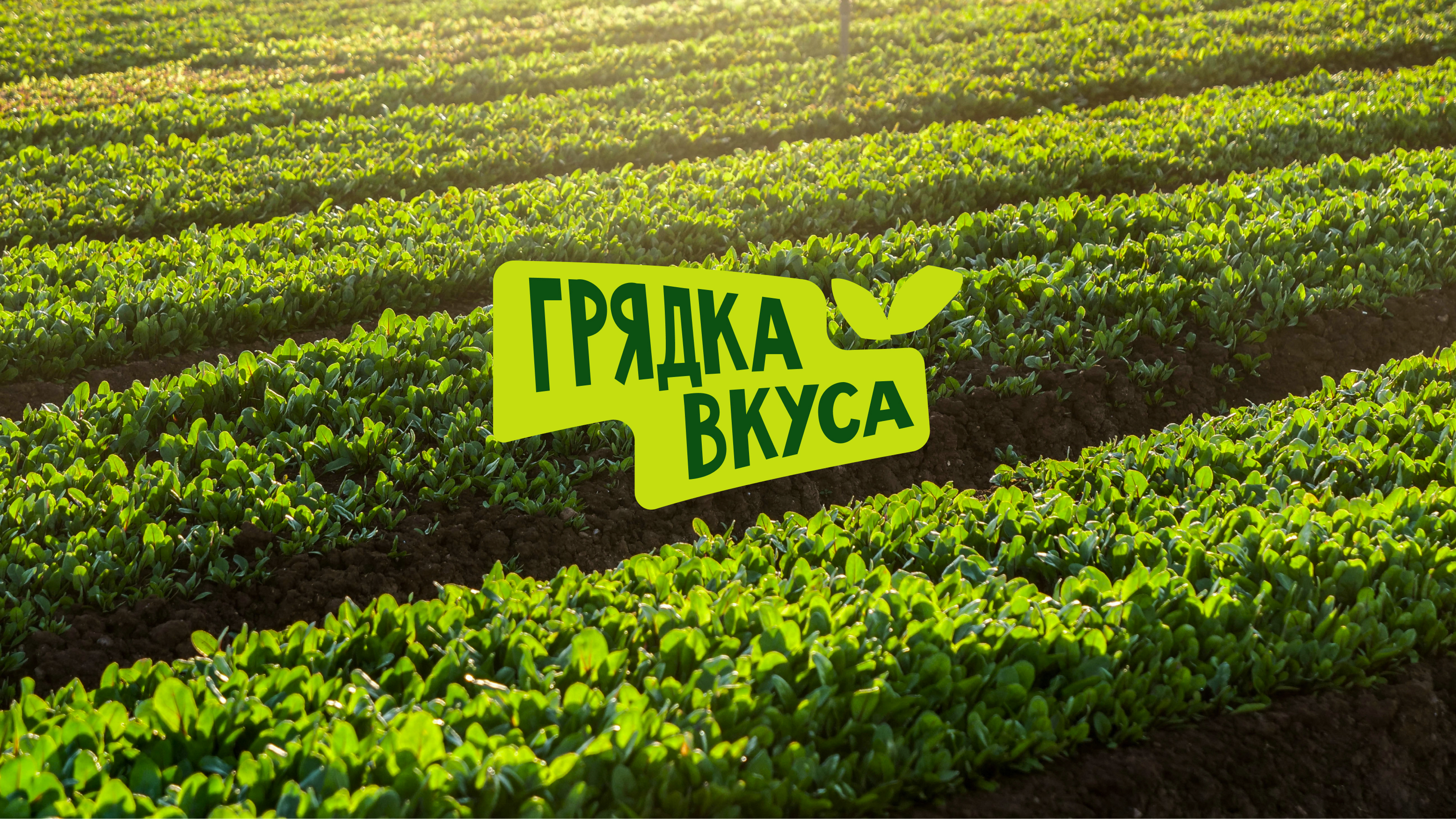 Грядка вкуса — Изображение №1 — Брендинг на Dprofile