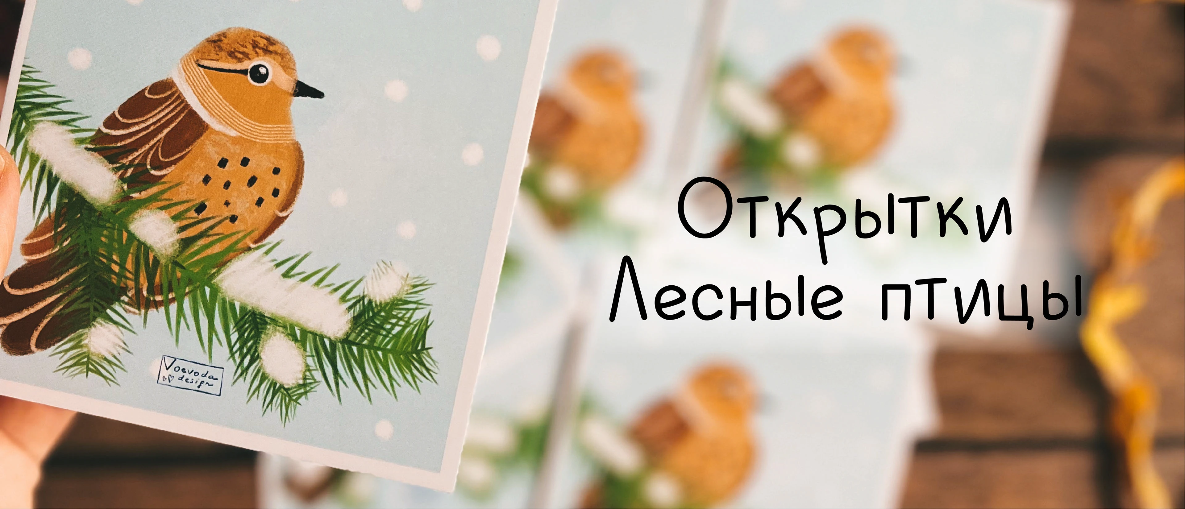 Открытки Лесные птицы — Изображение №1 — Иллюстрация, Графика на Dprofile